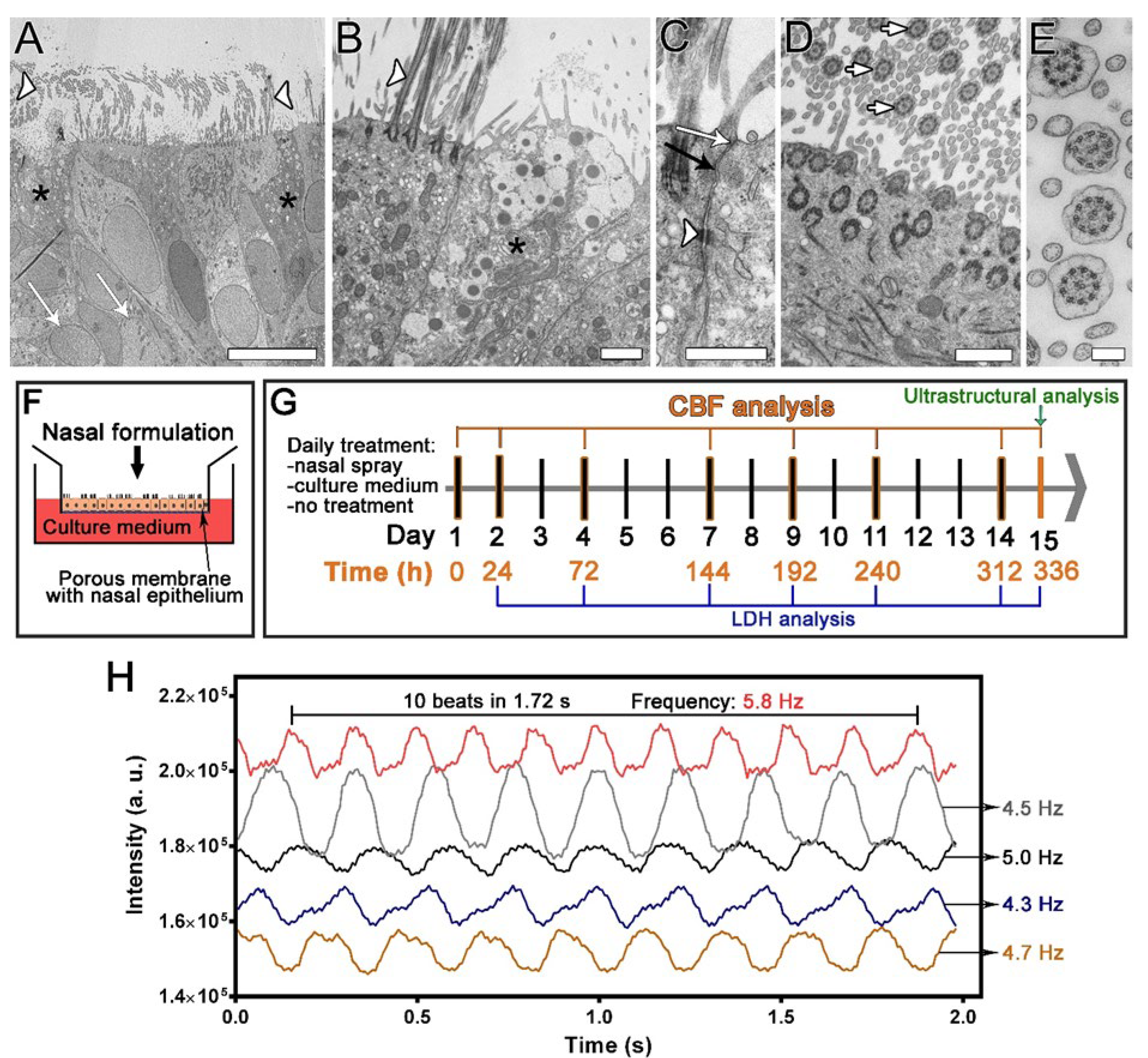 Pharmaceutics 13 01750 g001