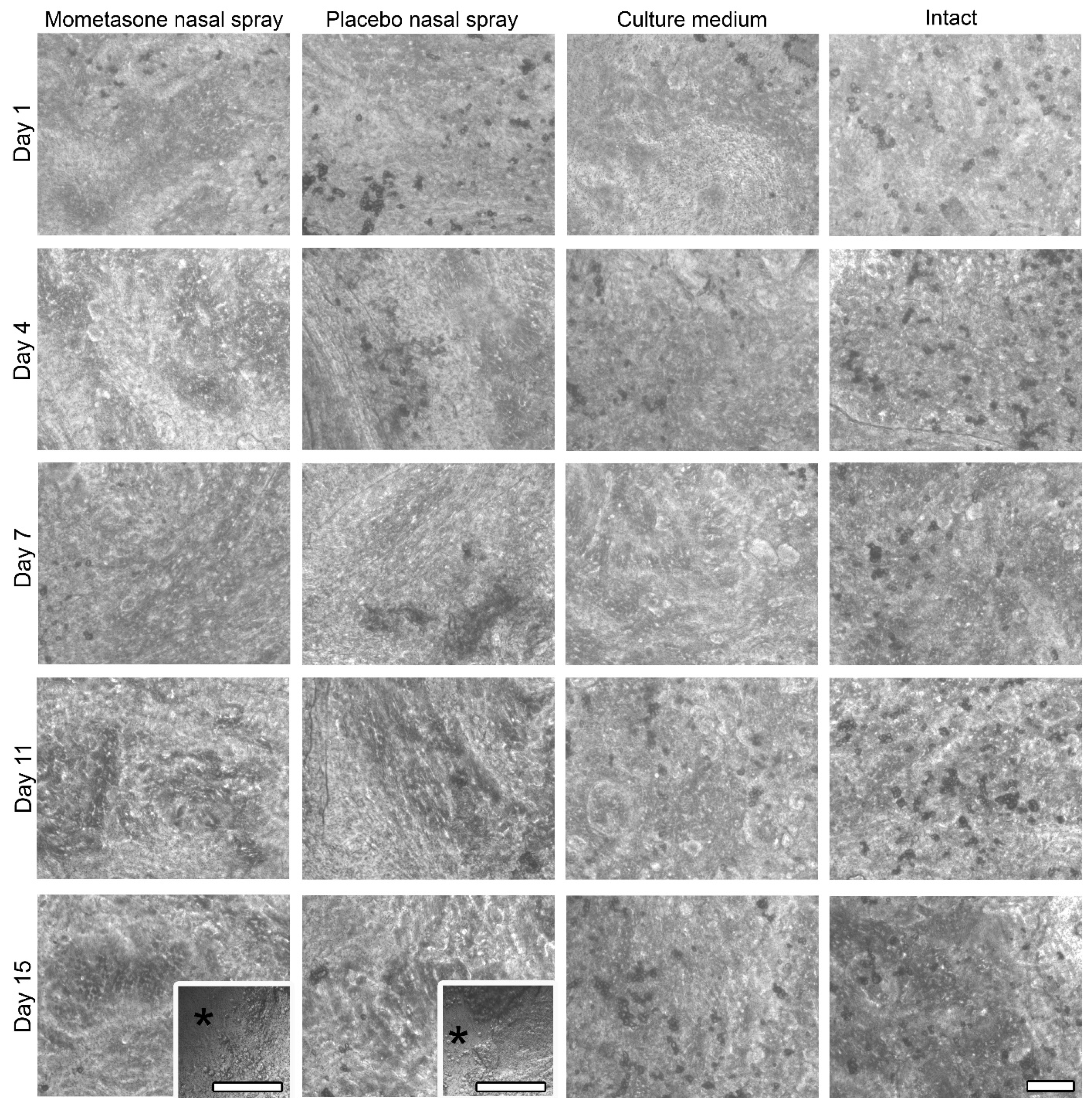 Pharmaceutics 13 01750 g005