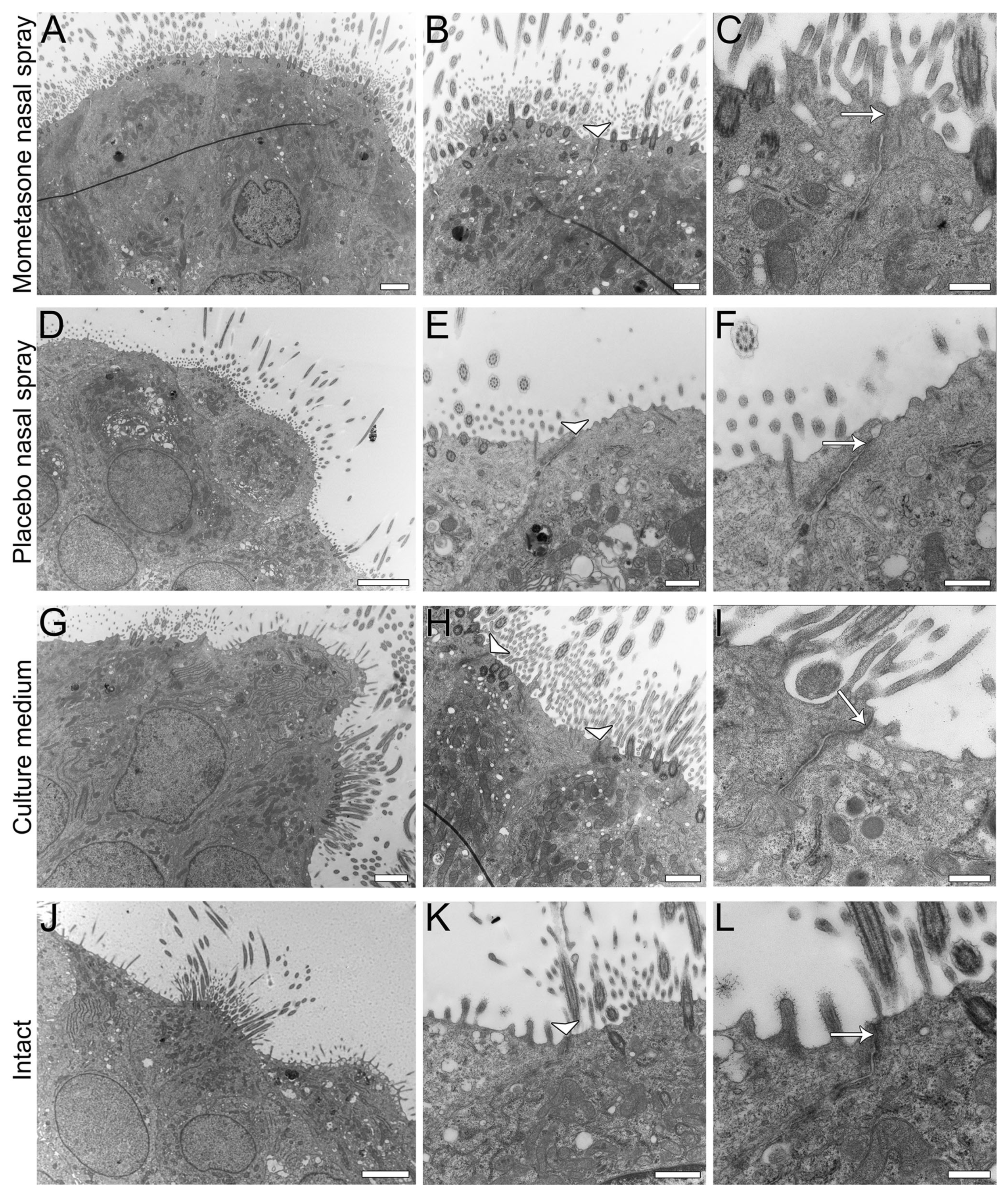 Pharmaceutics 13 01750 g008