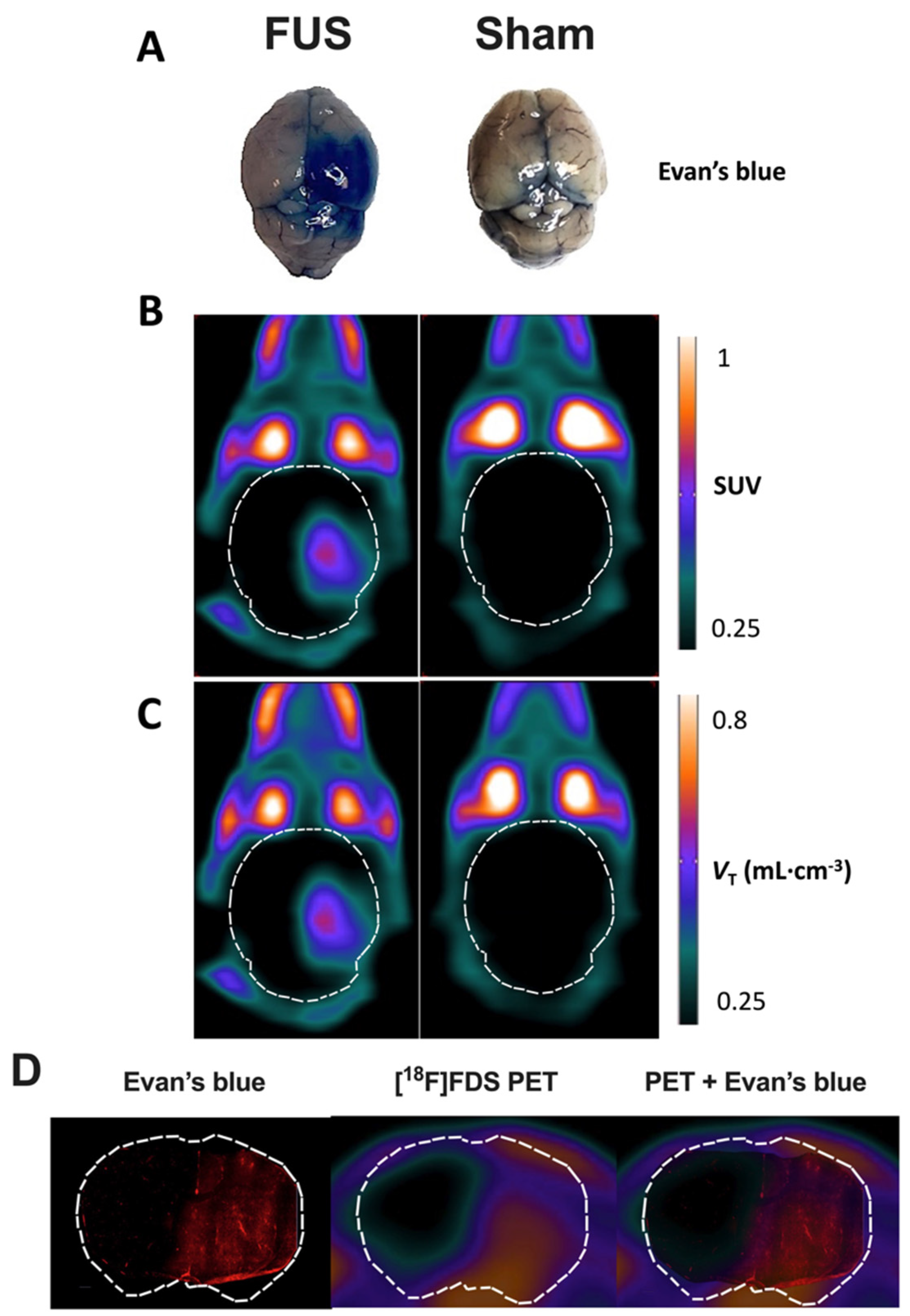 Pharmaceutics 13 01752 g002
