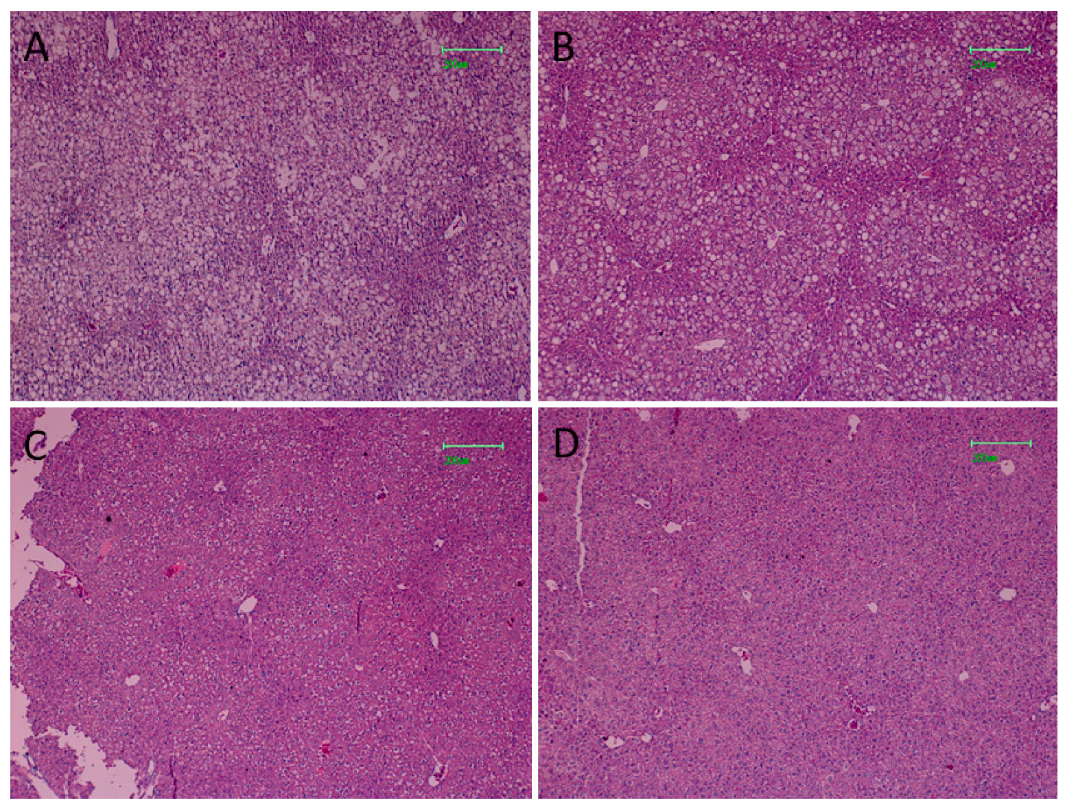 Pharmaceutics 13 01753 g006