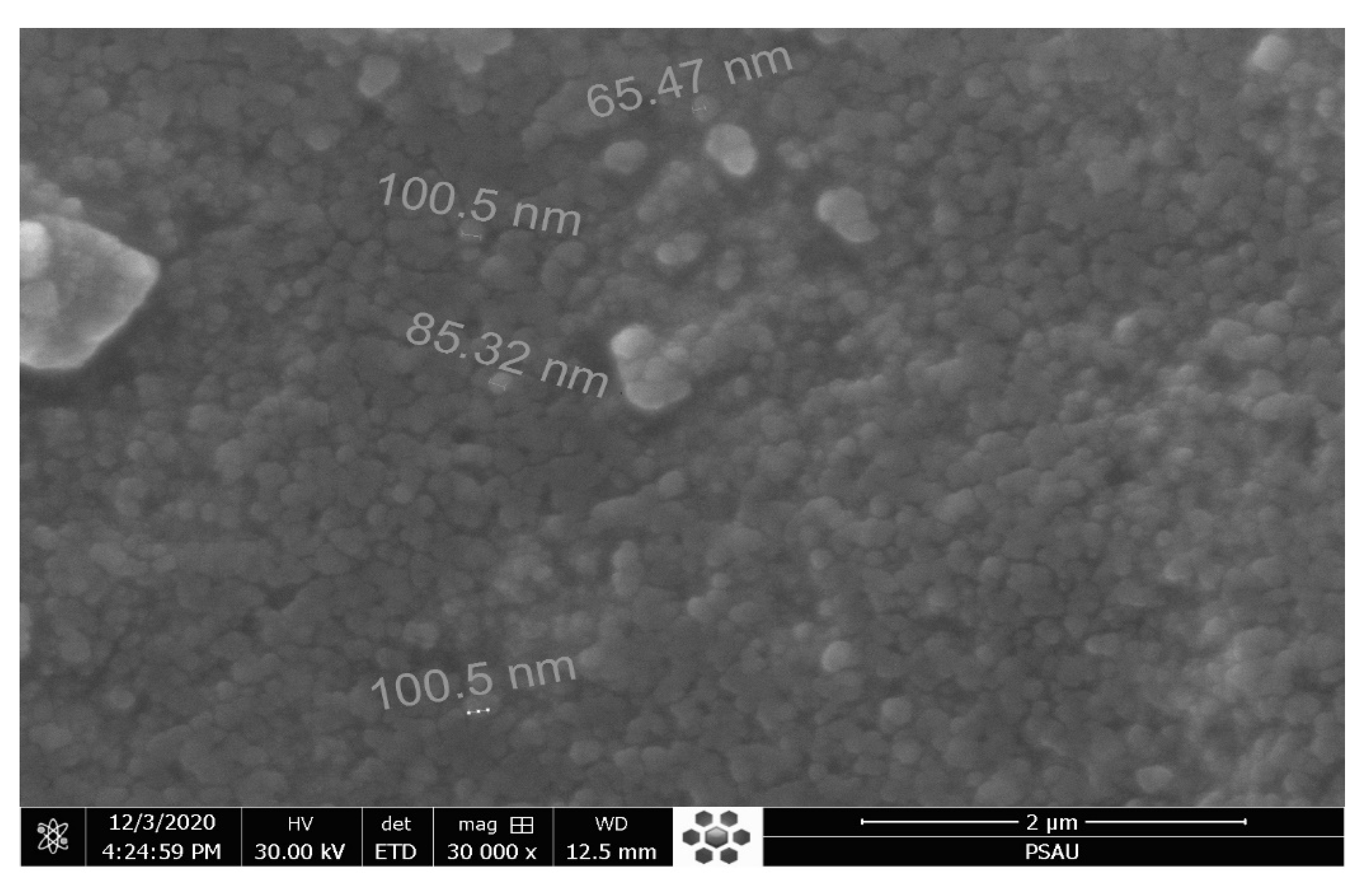 Pharmaceutics 13 01754 g004