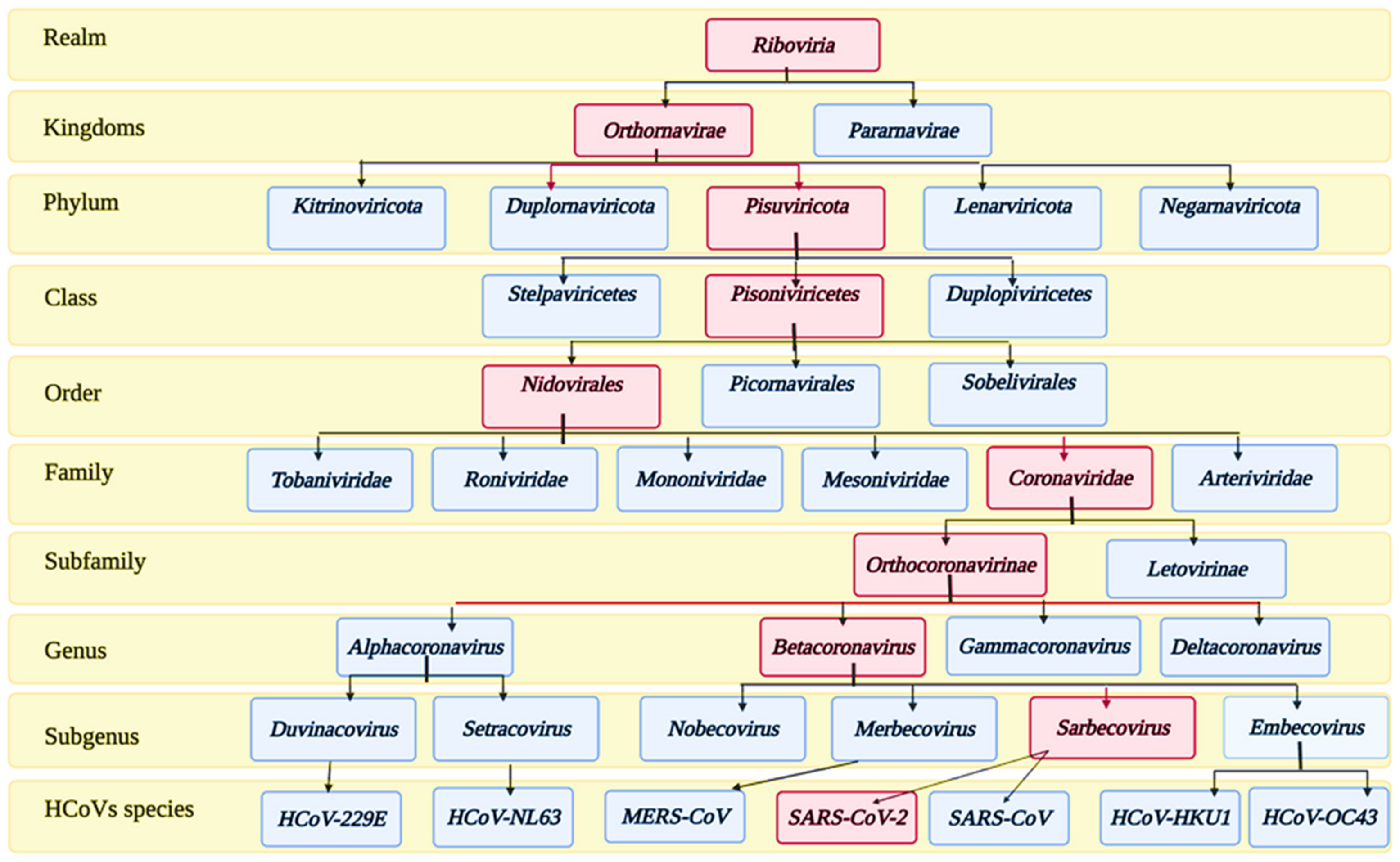 Pharmaceutics 13 01759 g001
