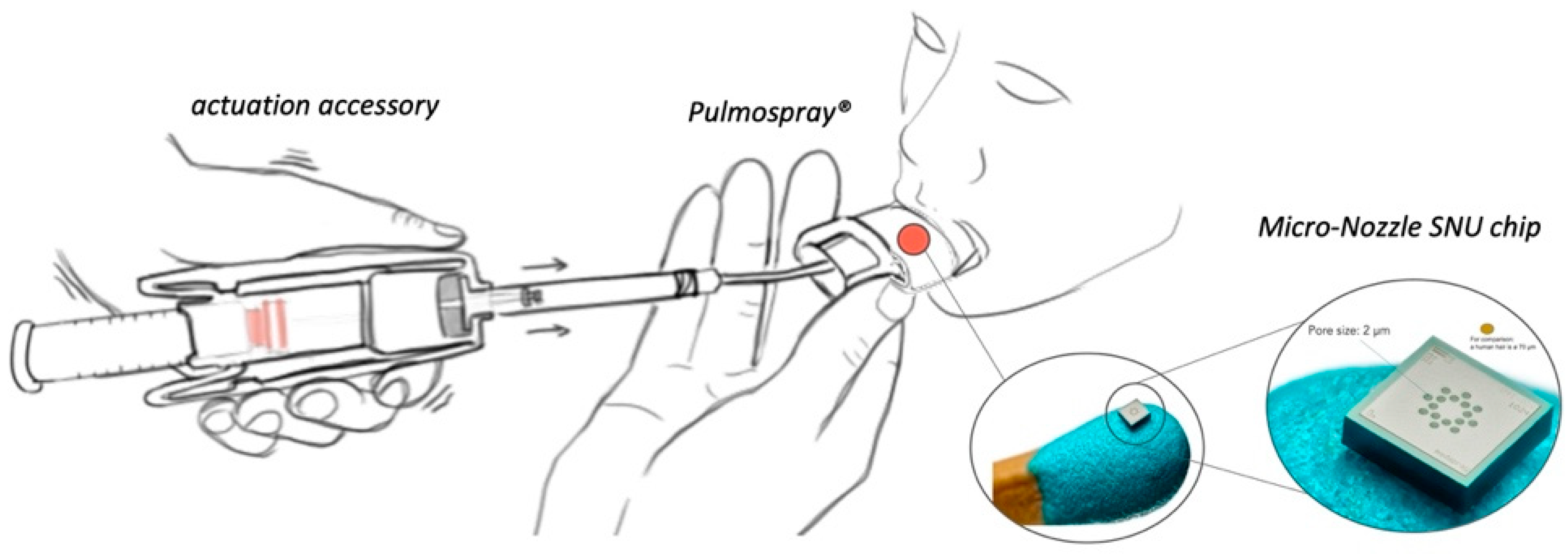 Pharmaceutics 13 01768 g001