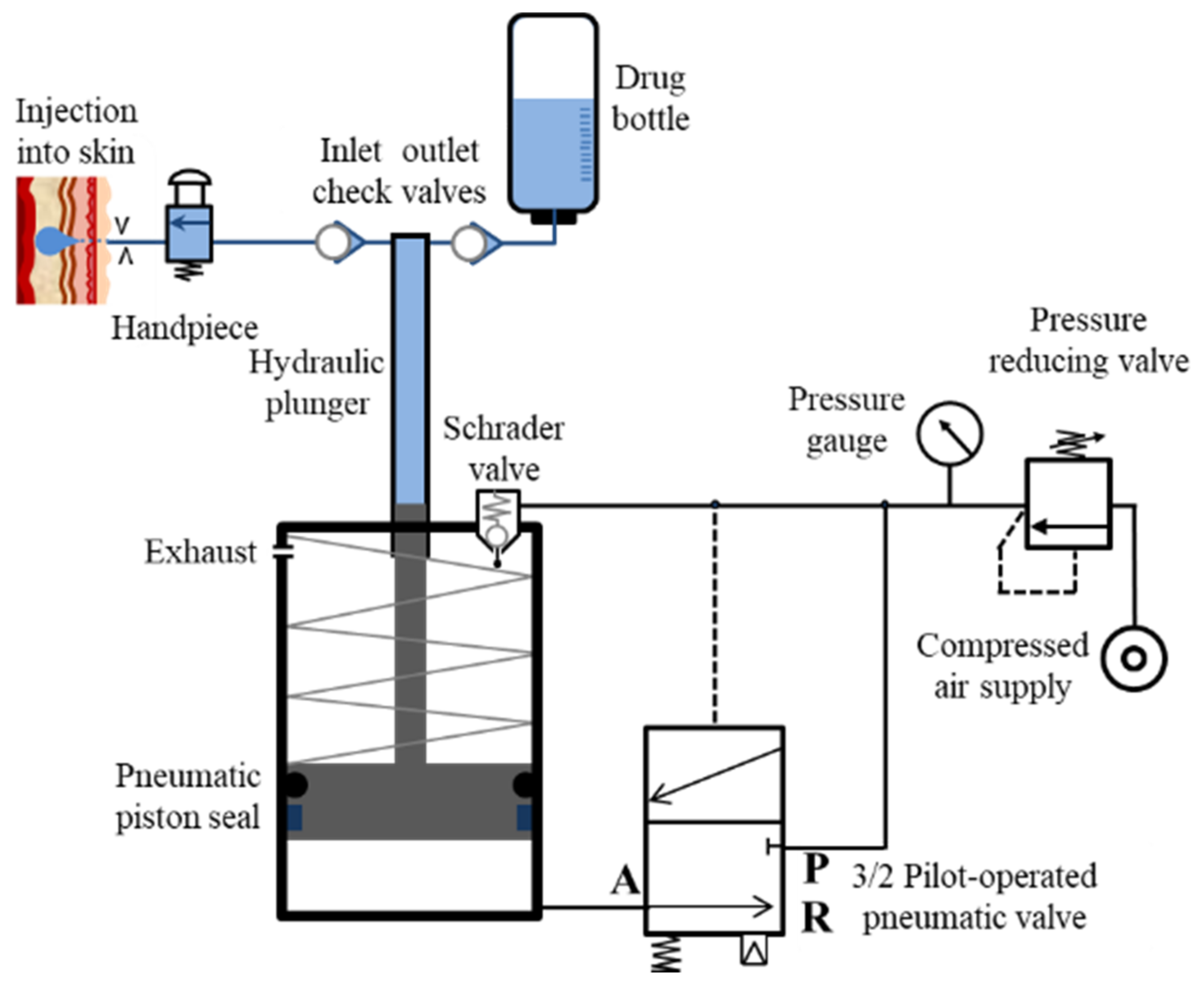 Pharmaceutics 13 01770 g002