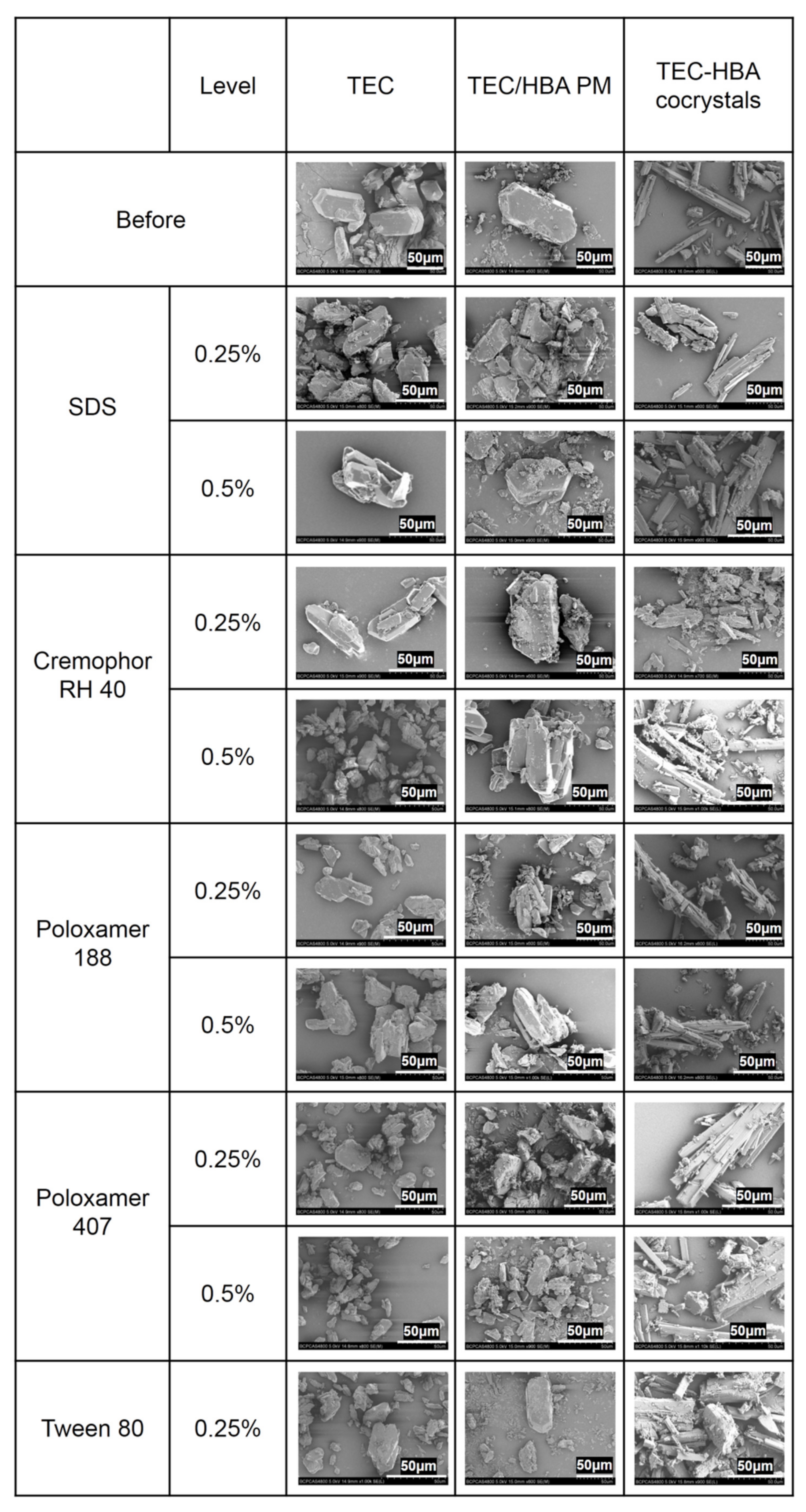 Pharmaceutics 13 01772 g005a