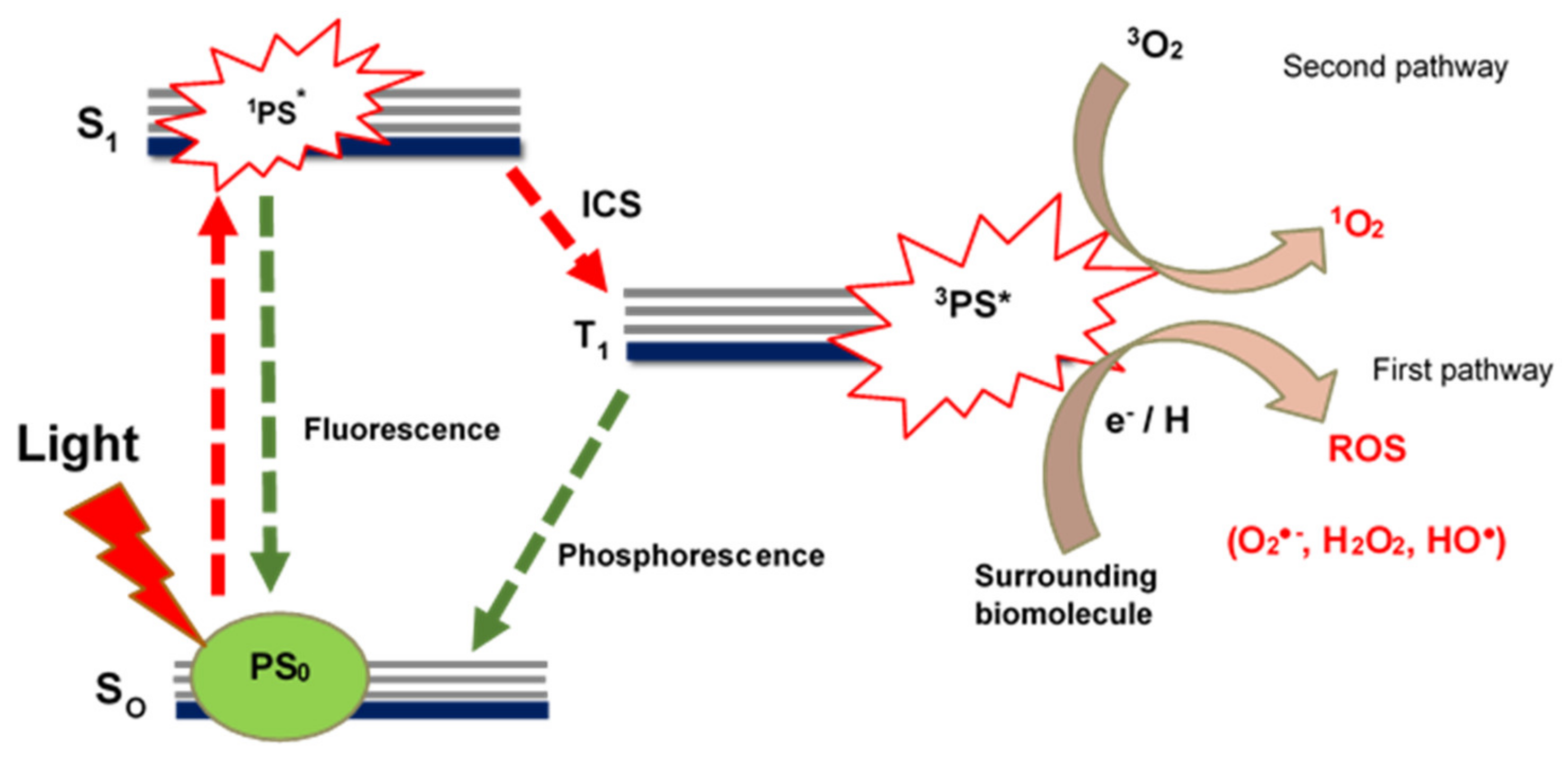 Pharmaceutics 13 01773 g001