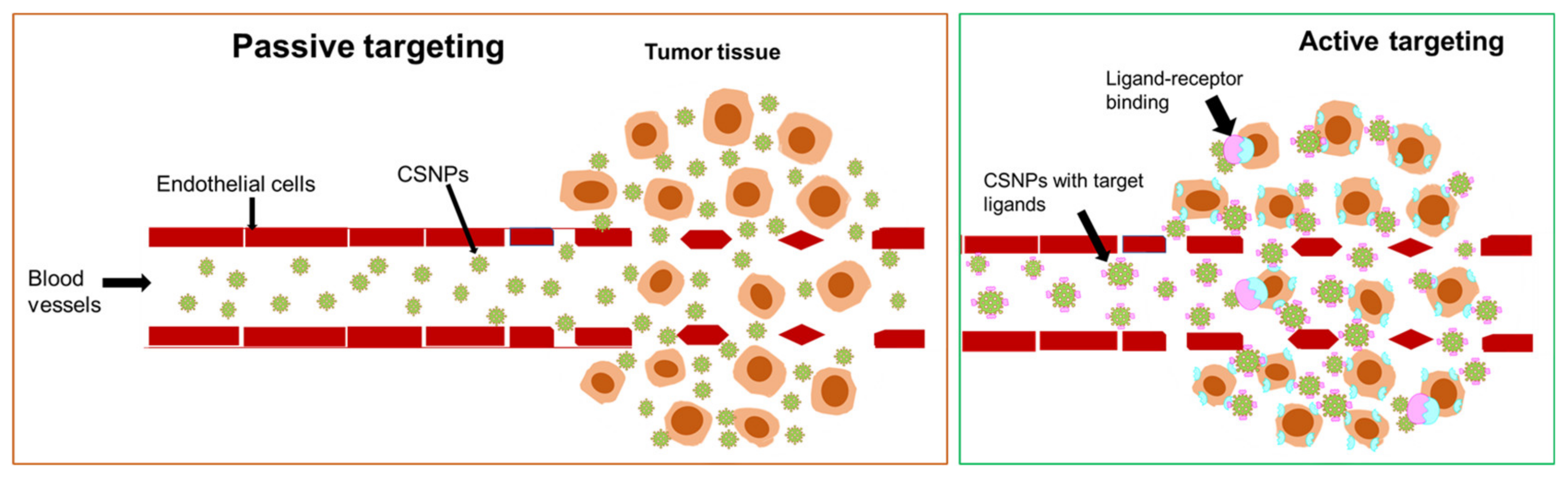 Pharmaceutics 13 01773 g002