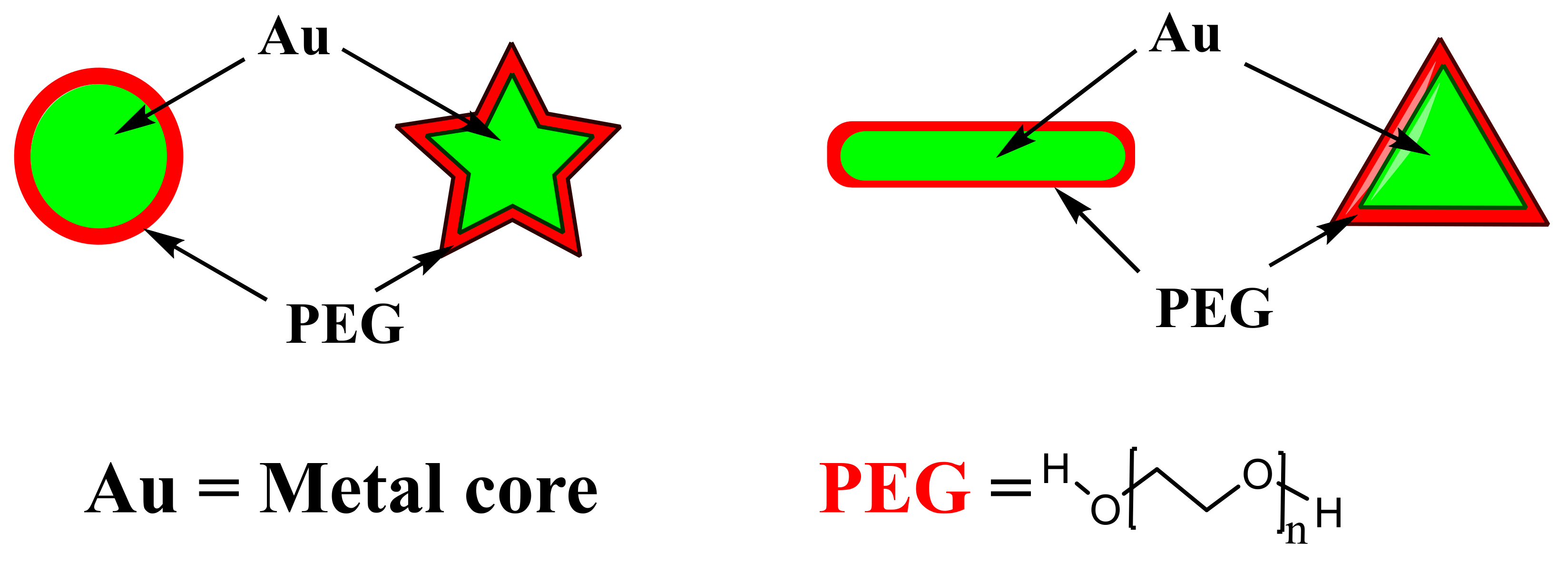 Pharmaceutics 13 01773 g003