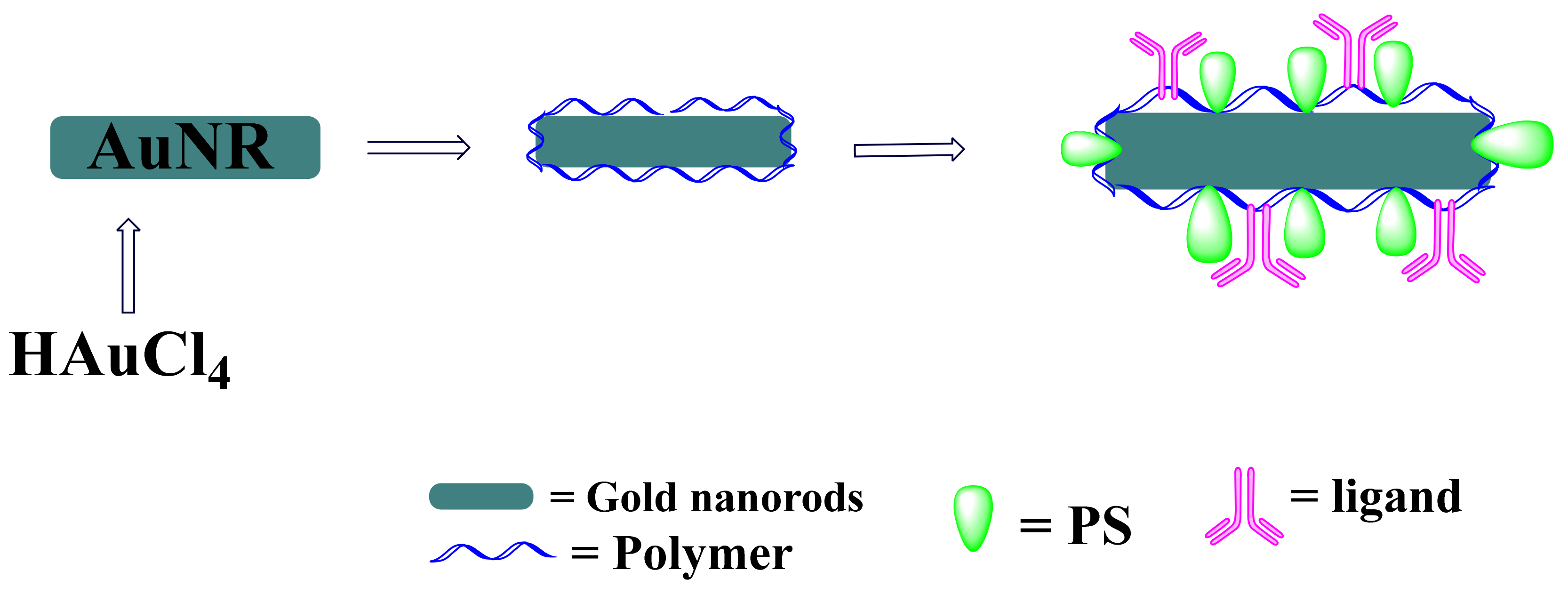 Pharmaceutics 13 01773 g004