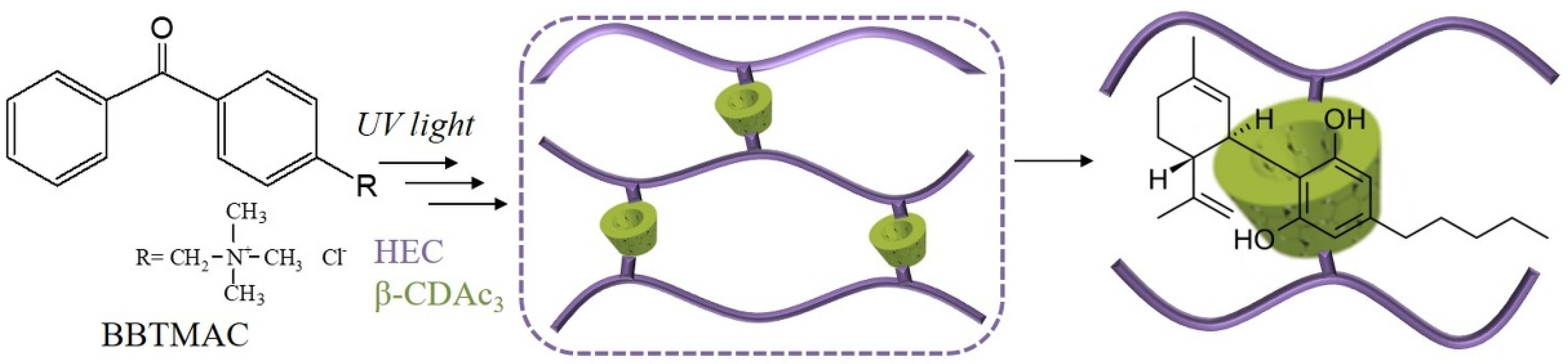 Pharmaceutics 13 01774 g002