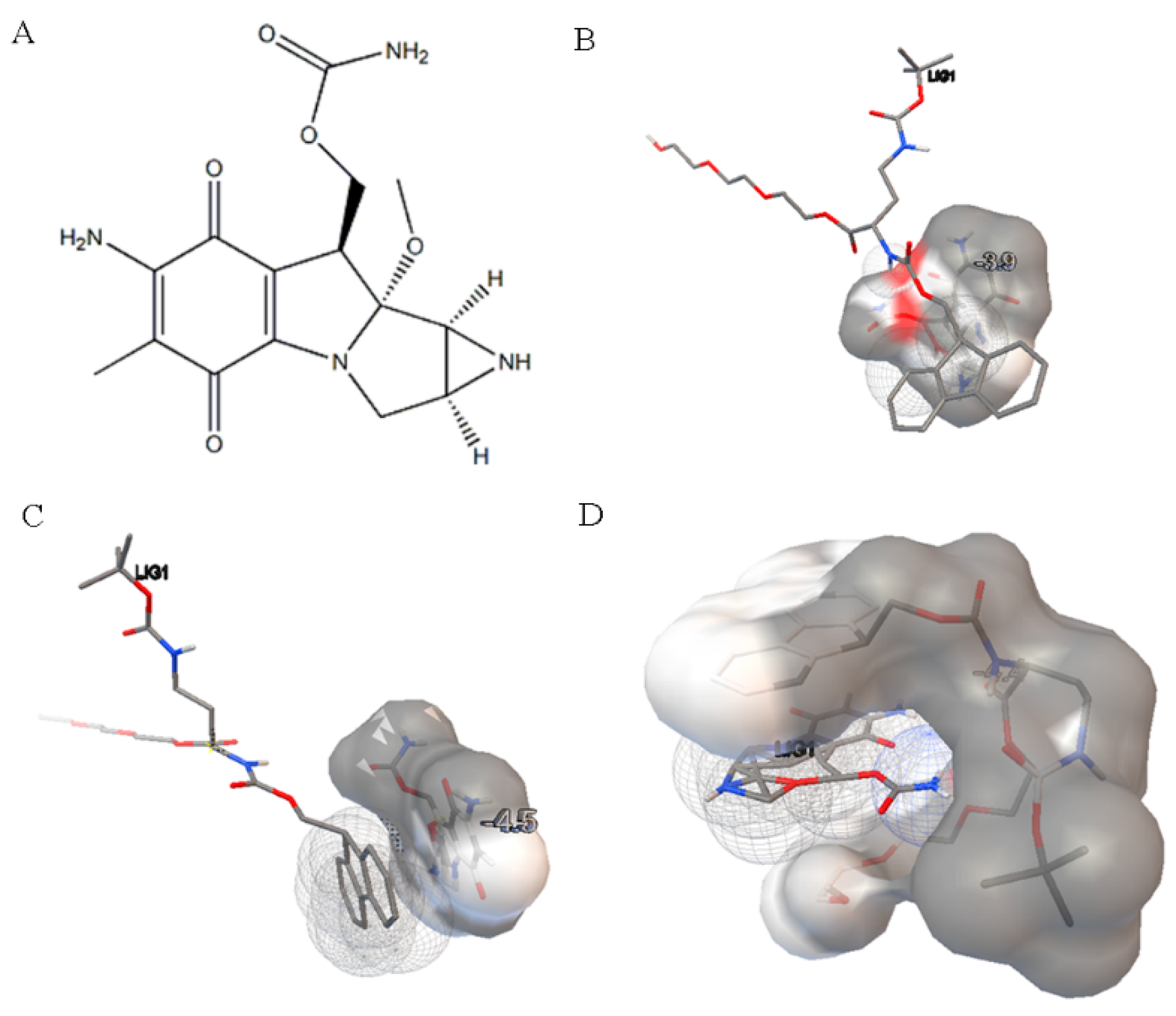 Pharmaceutics 13 01776 g007 Pharmaceutics 13 01776 g007