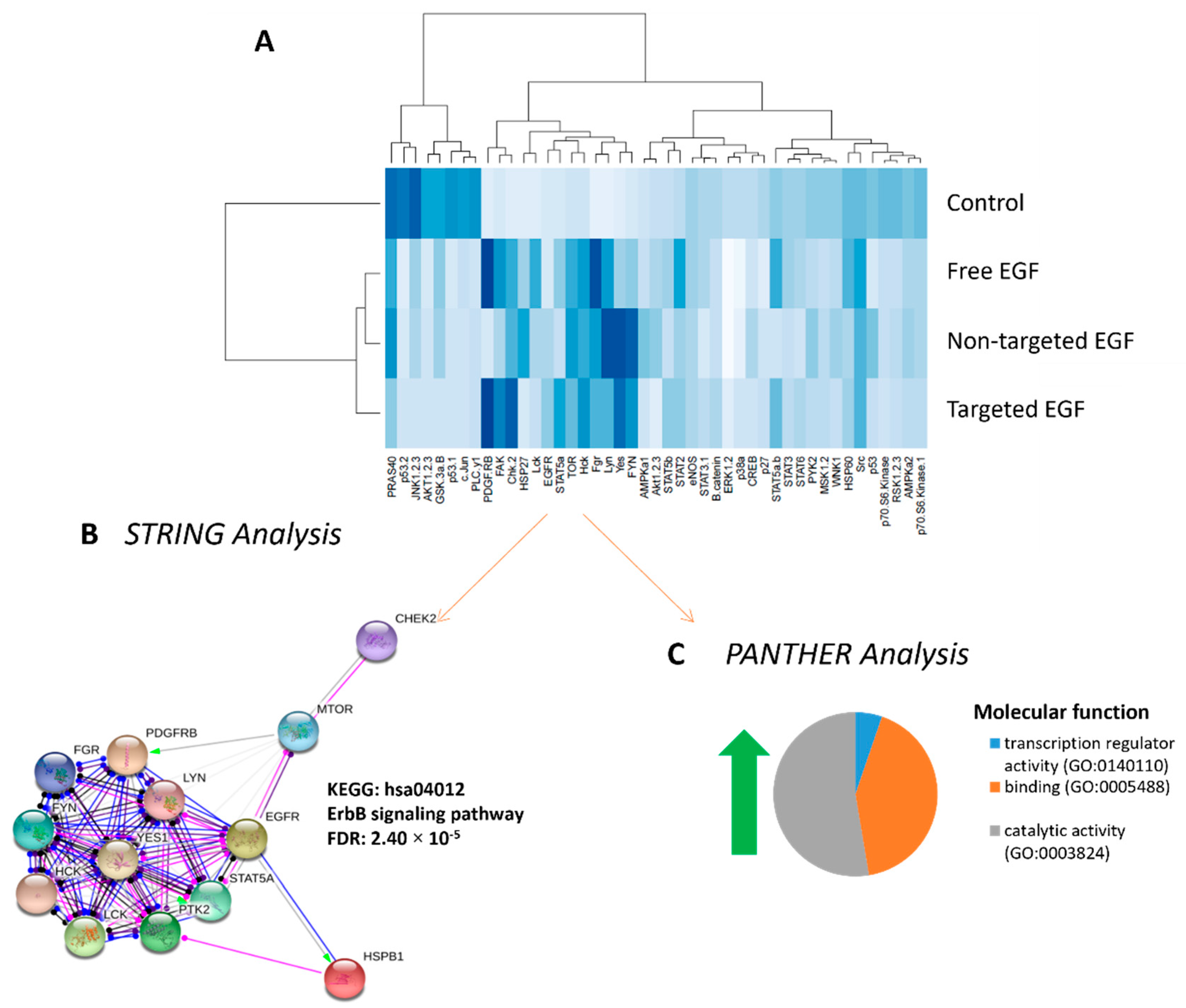 Pharmaceutics 13 01778 g006