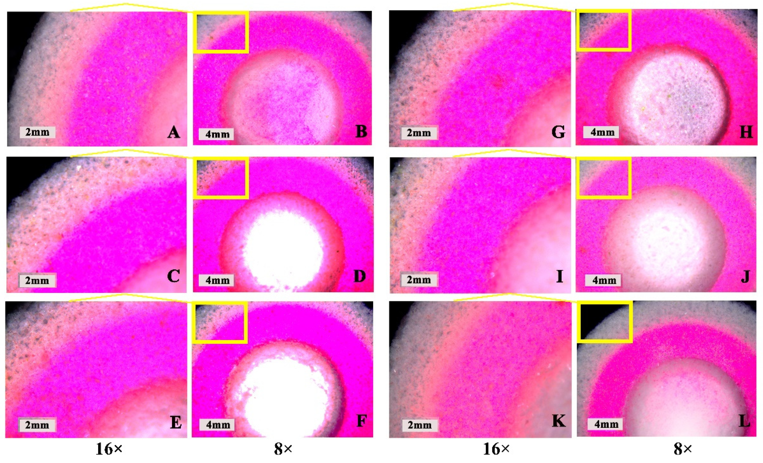Pharmaceutics 13 01780 g006