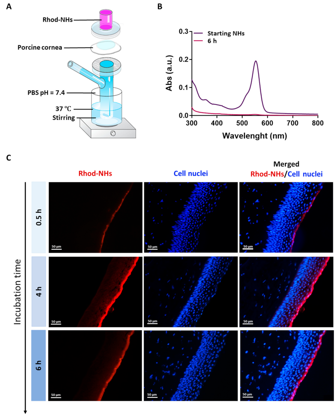 Pharmaceutics 13 01781 g001