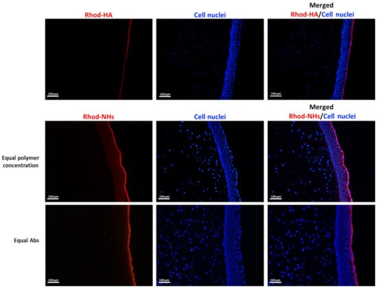 Pharmaceutics 13 01781 g0a1 550
