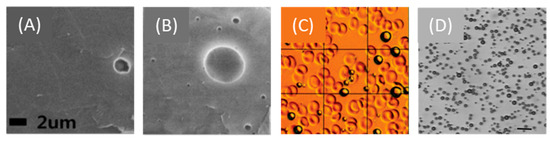 Pharmaceutics 13 01782 g006 Pharmaceutics 13 01782 g006