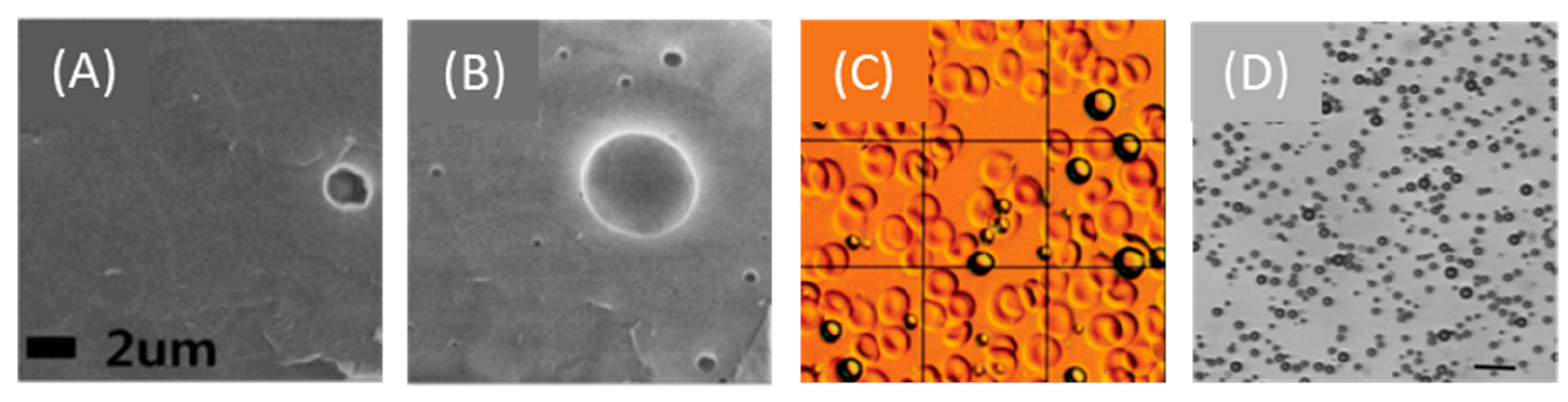 Pharmaceutics 13 01782 g006