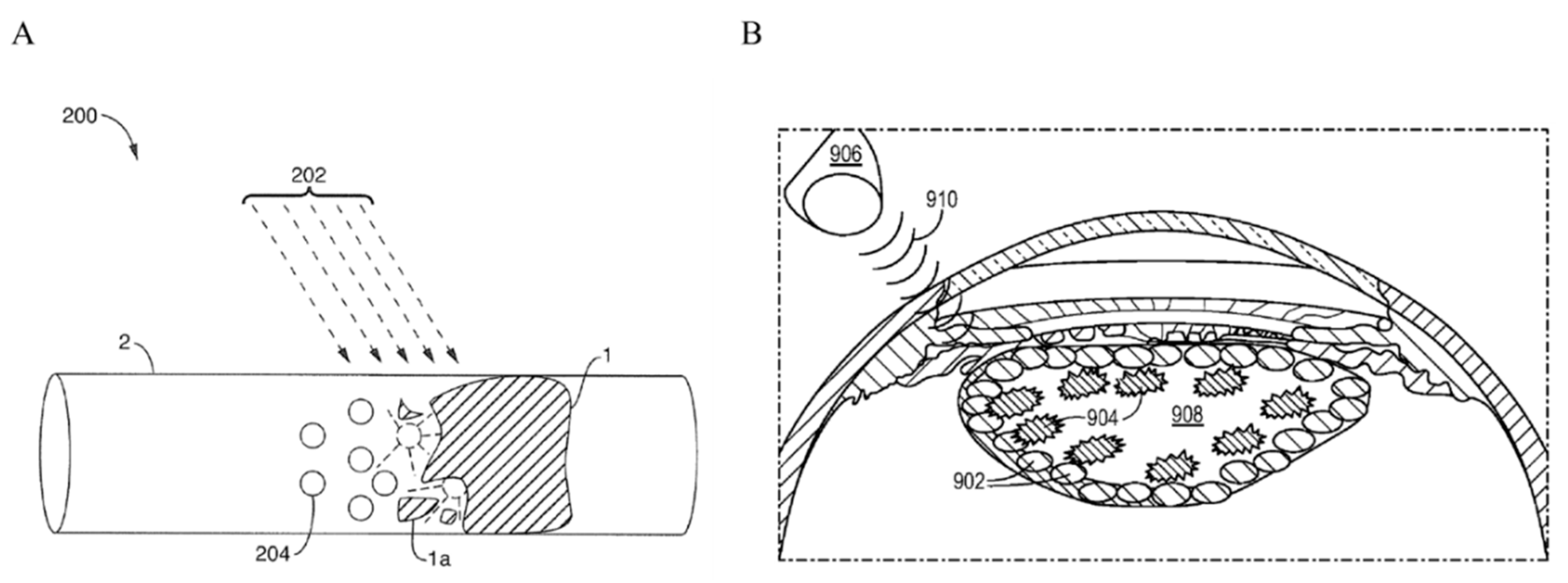 Pharmaceutics 13 01782 g007