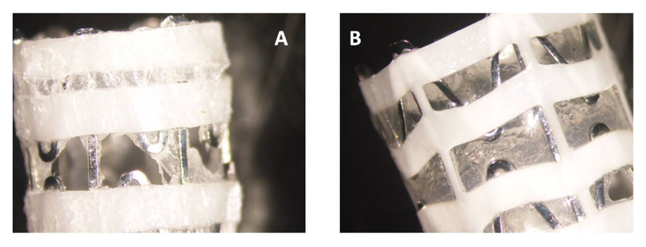 Pharmaceutics 13 01783 g001