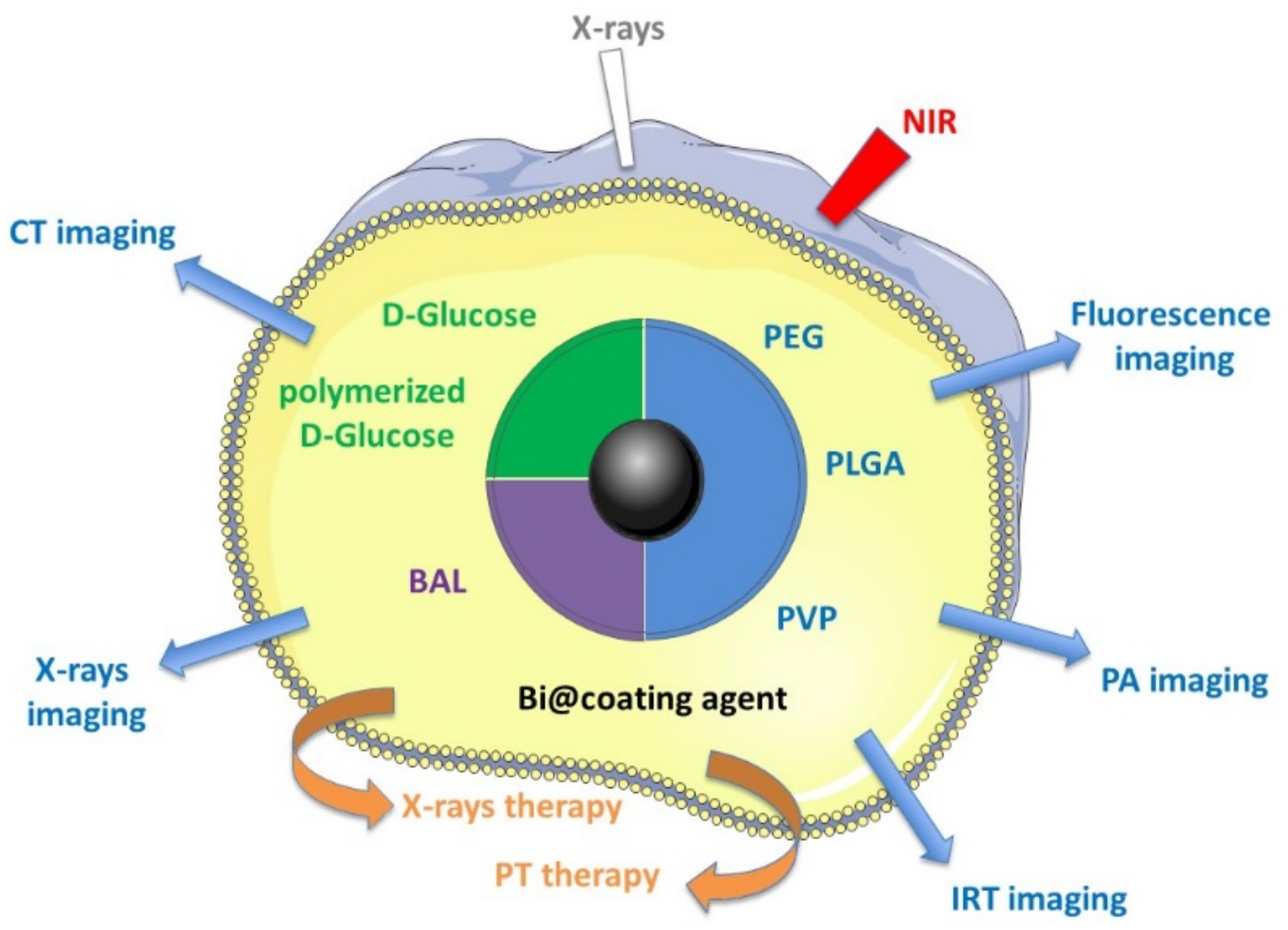 Pharmaceutics 13 01793 g001