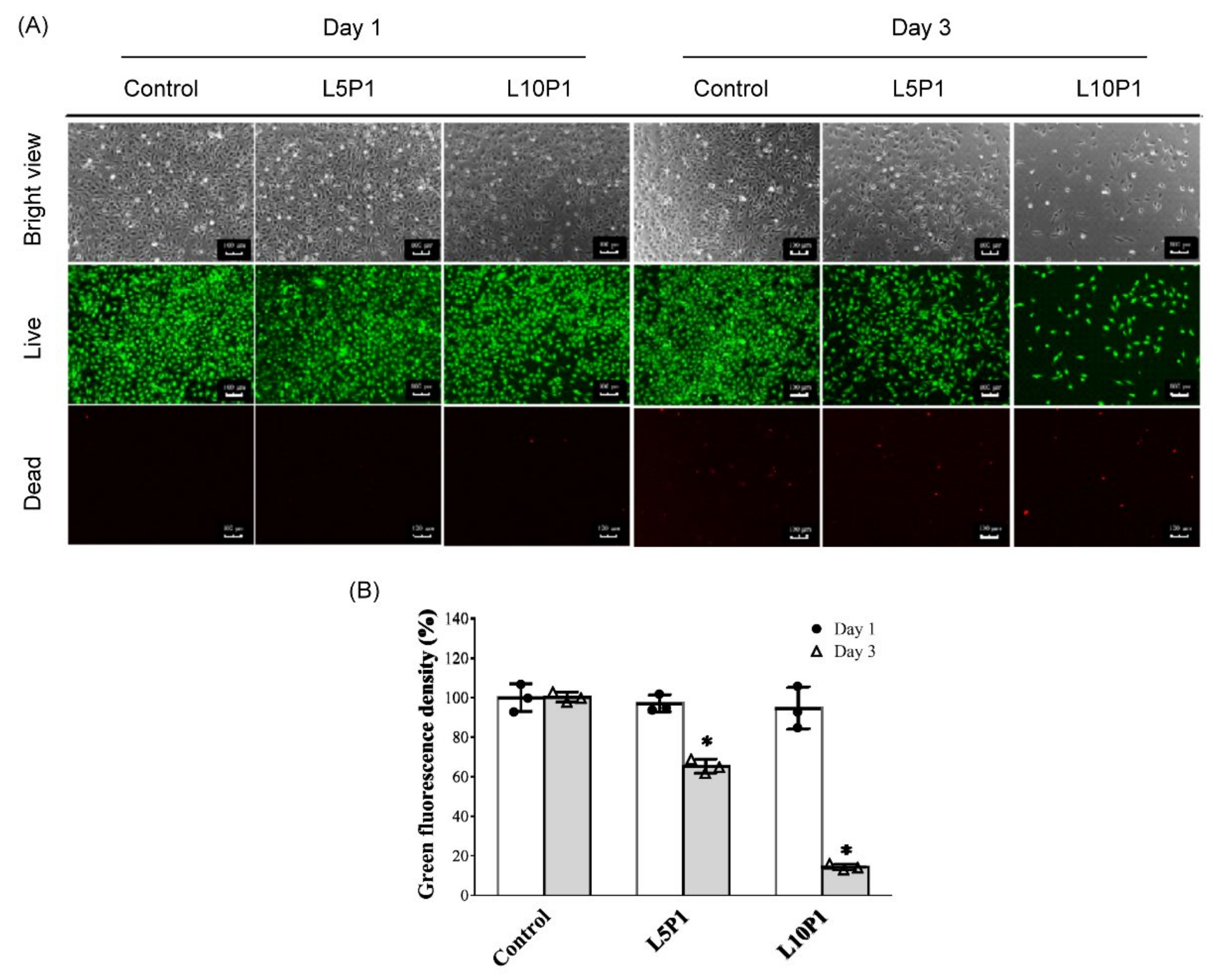 Pharmaceutics 13 01801 g002
