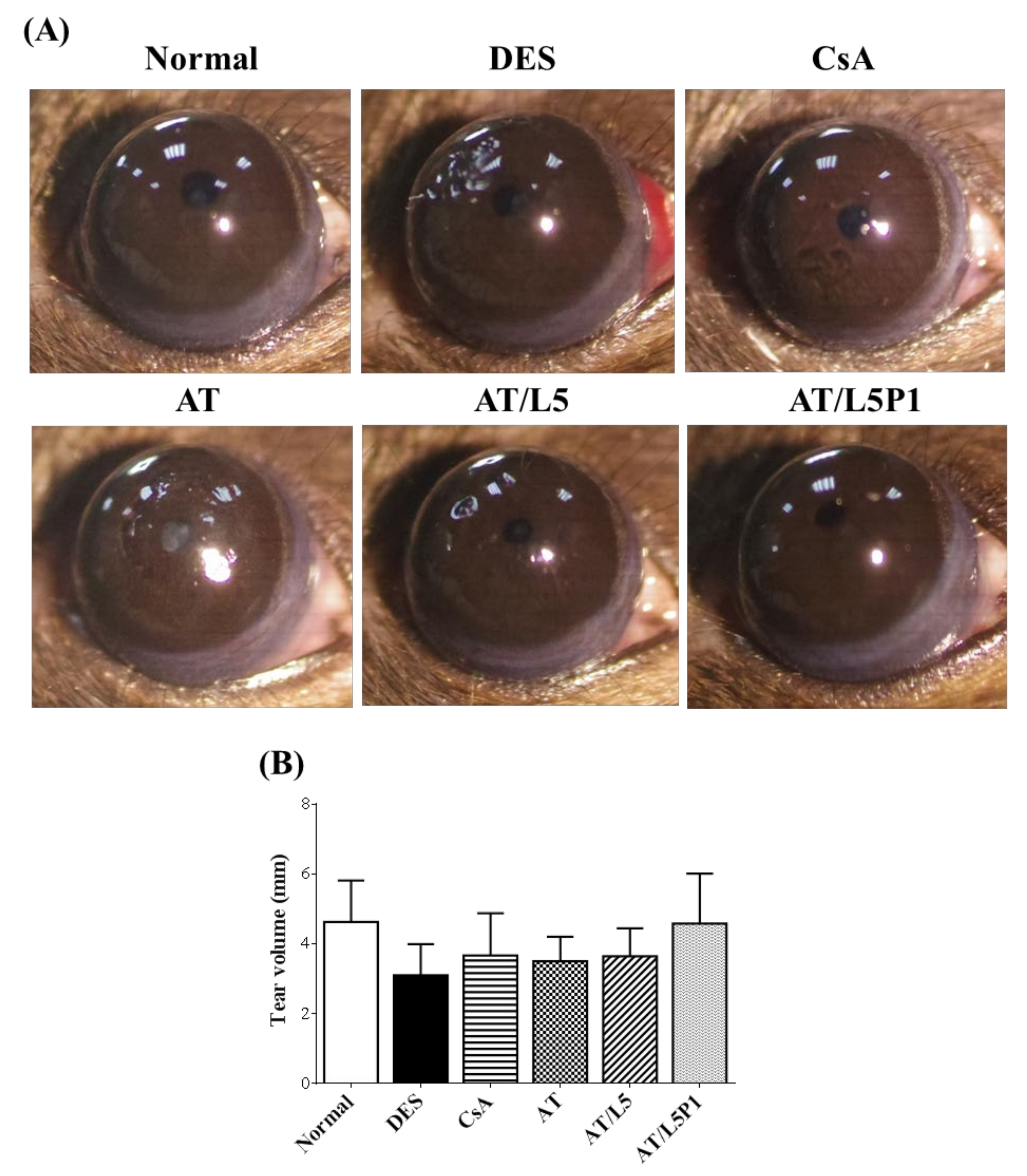 Pharmaceutics 13 01801 g005