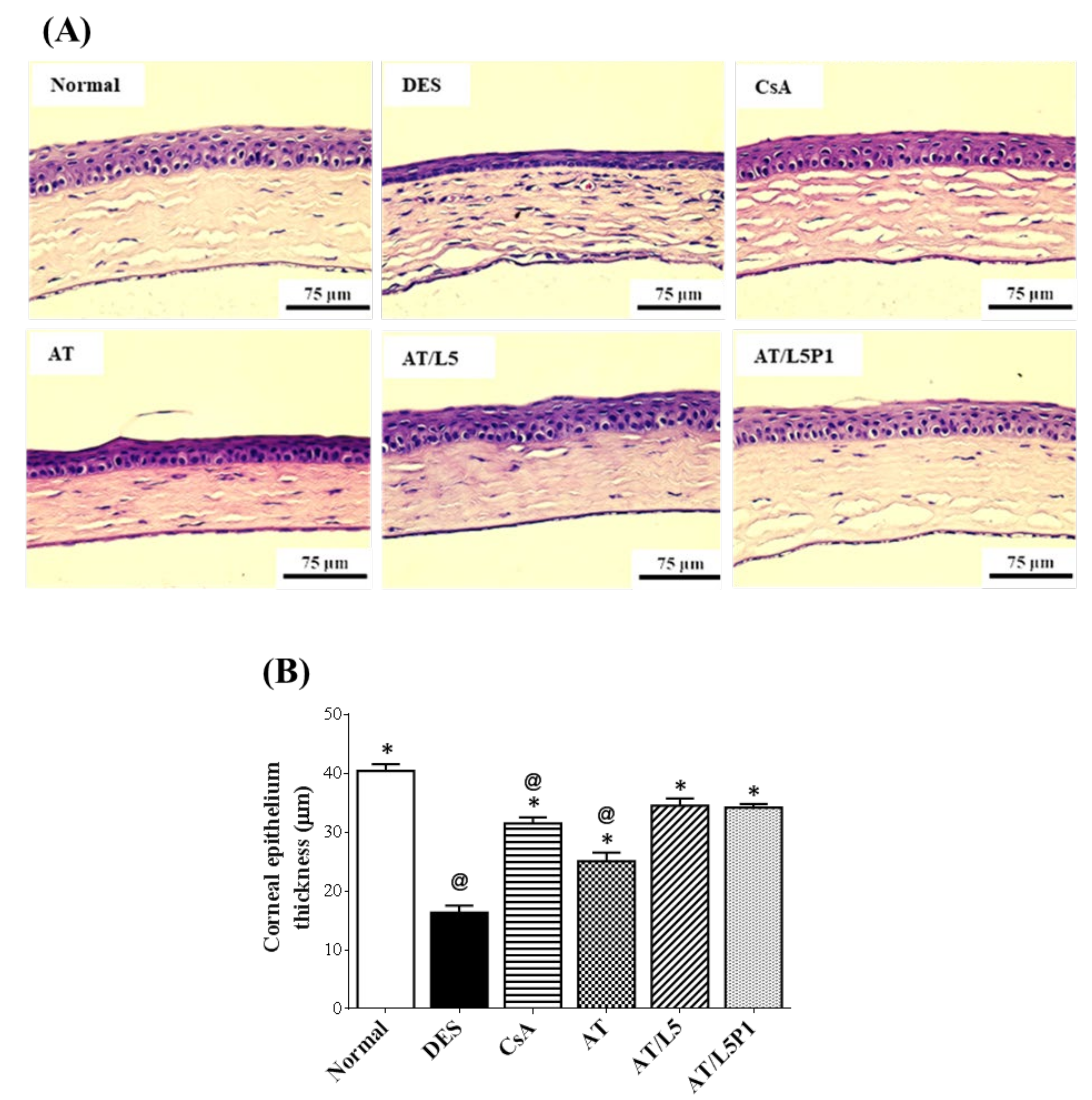 Pharmaceutics 13 01801 g007