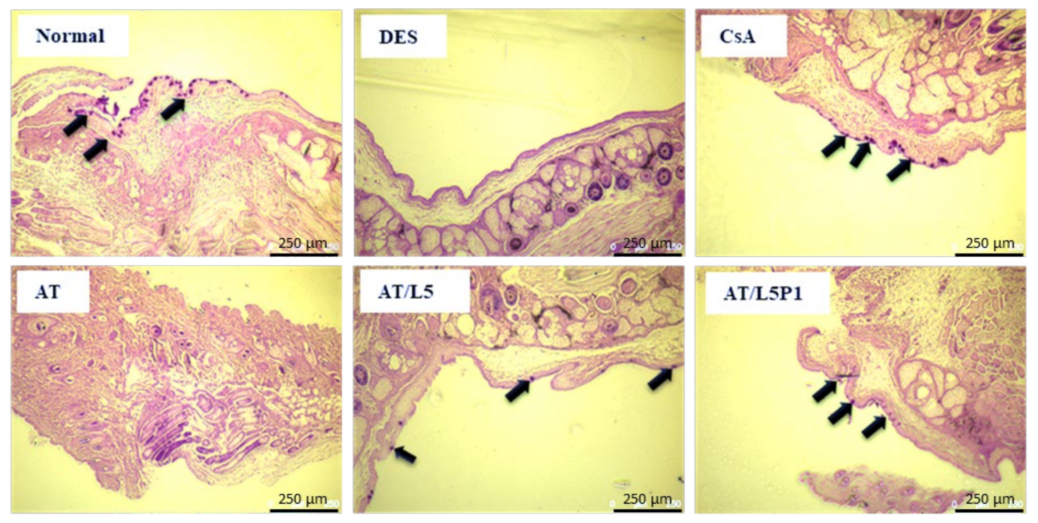 Pharmaceutics 13 01801 g008