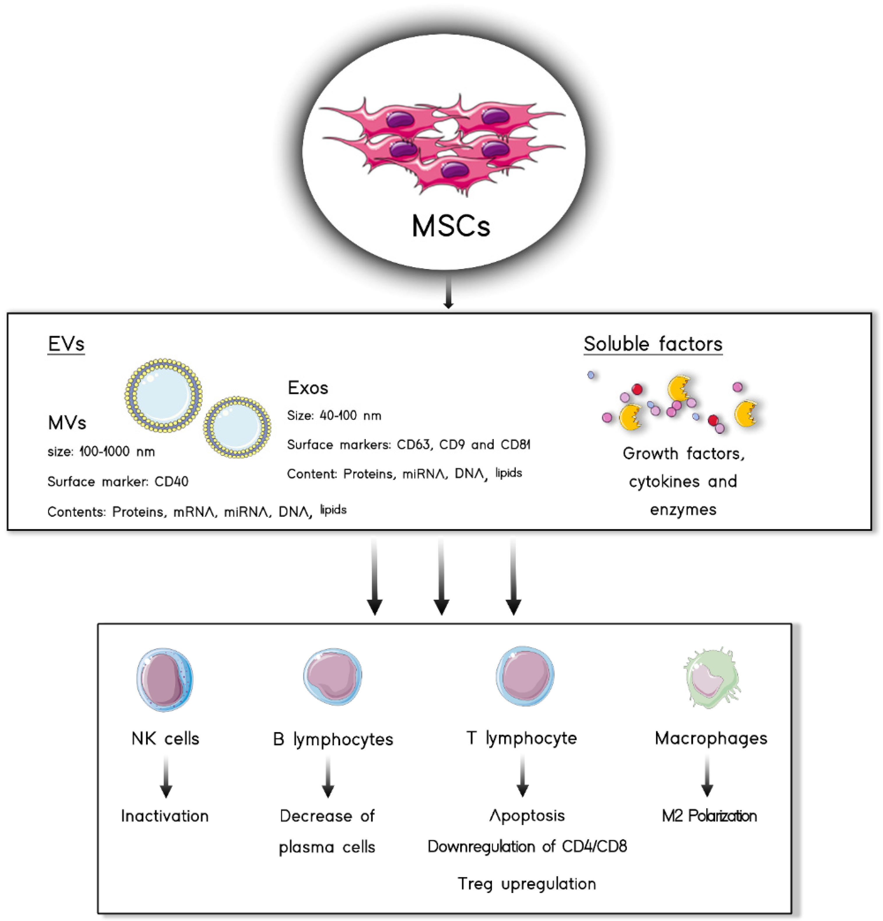 Pharmaceutics 13 01802 g001