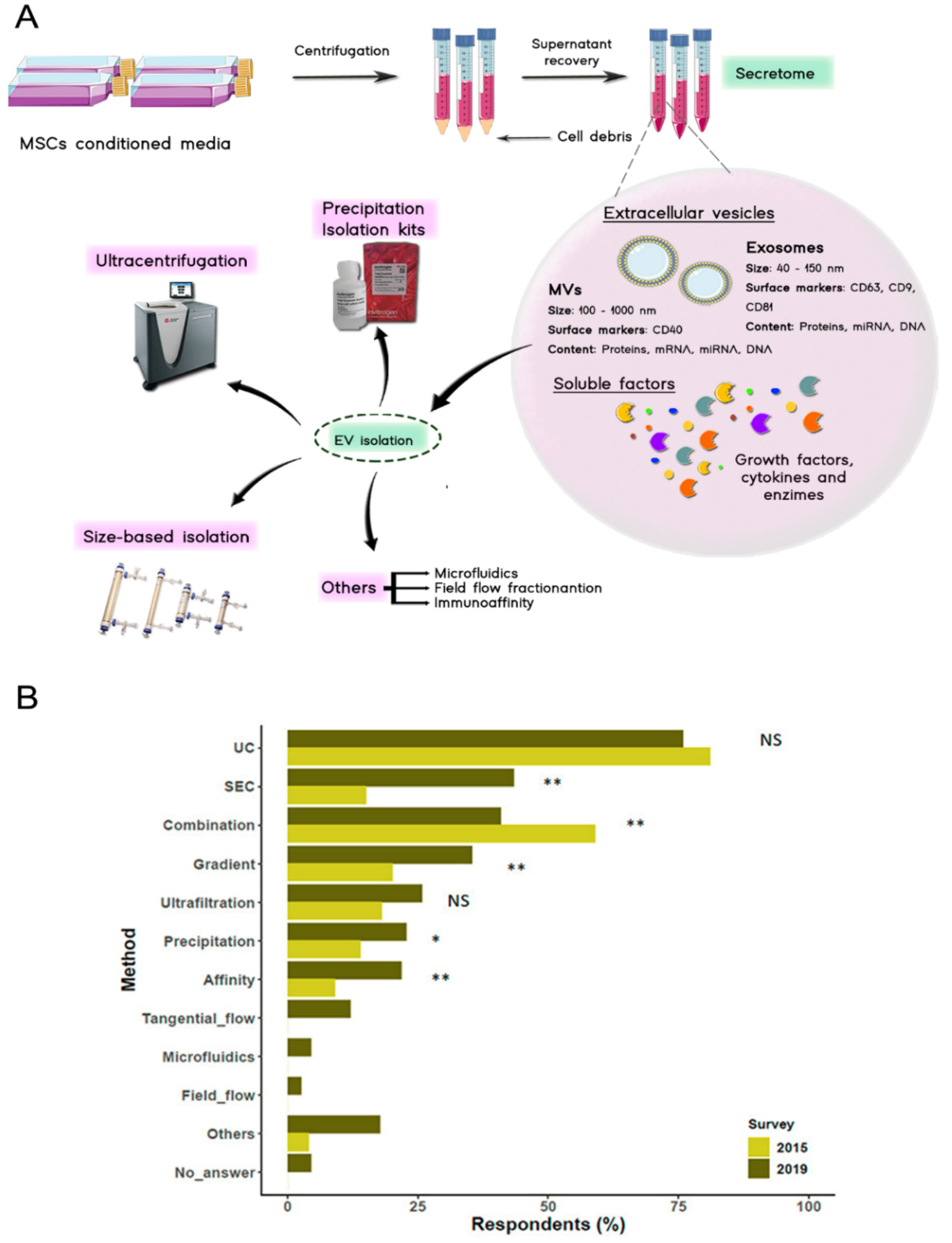 Pharmaceutics 13 01802 g003