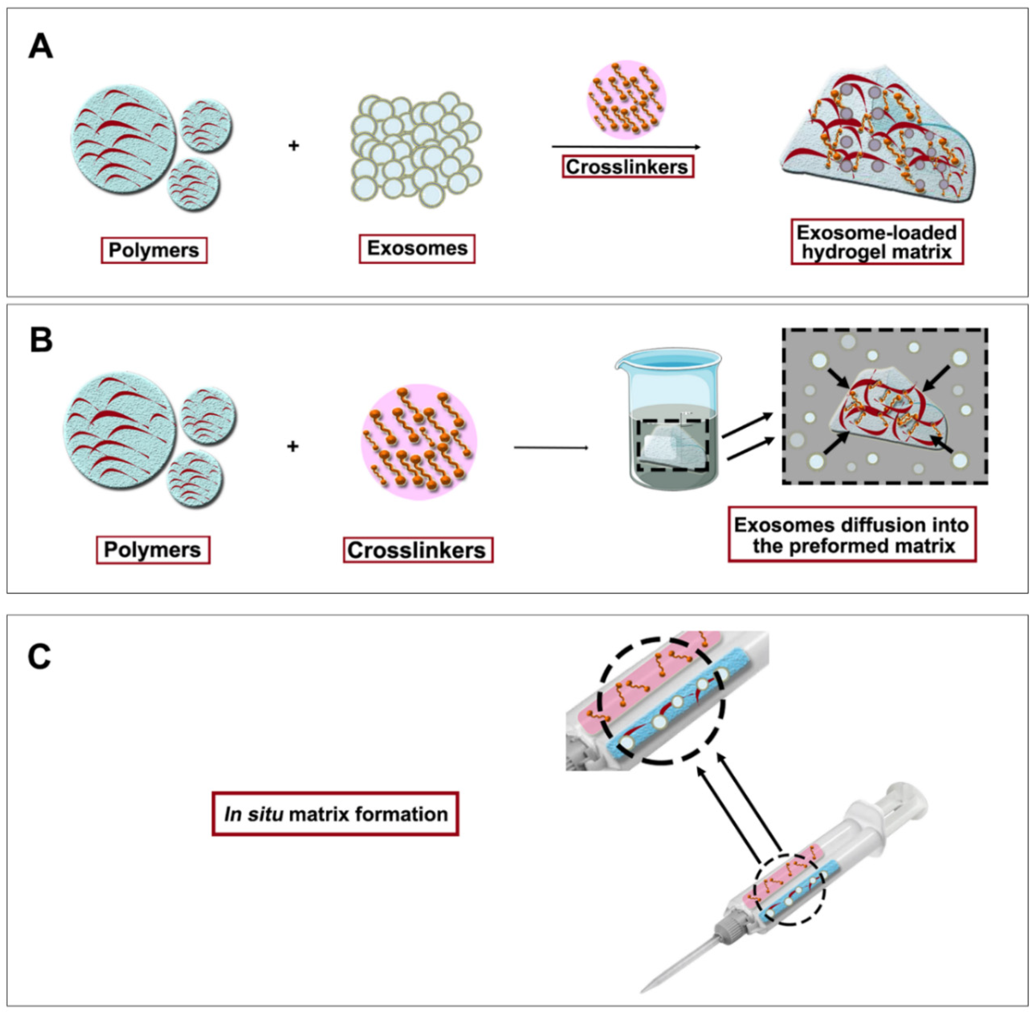 Pharmaceutics 13 01802 g004