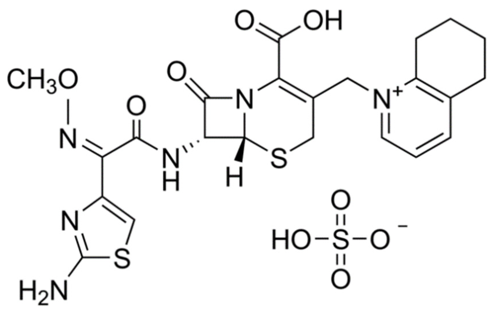 Pharmaceutics 13 01804 g001 Pharmaceutics 13 01804 g001