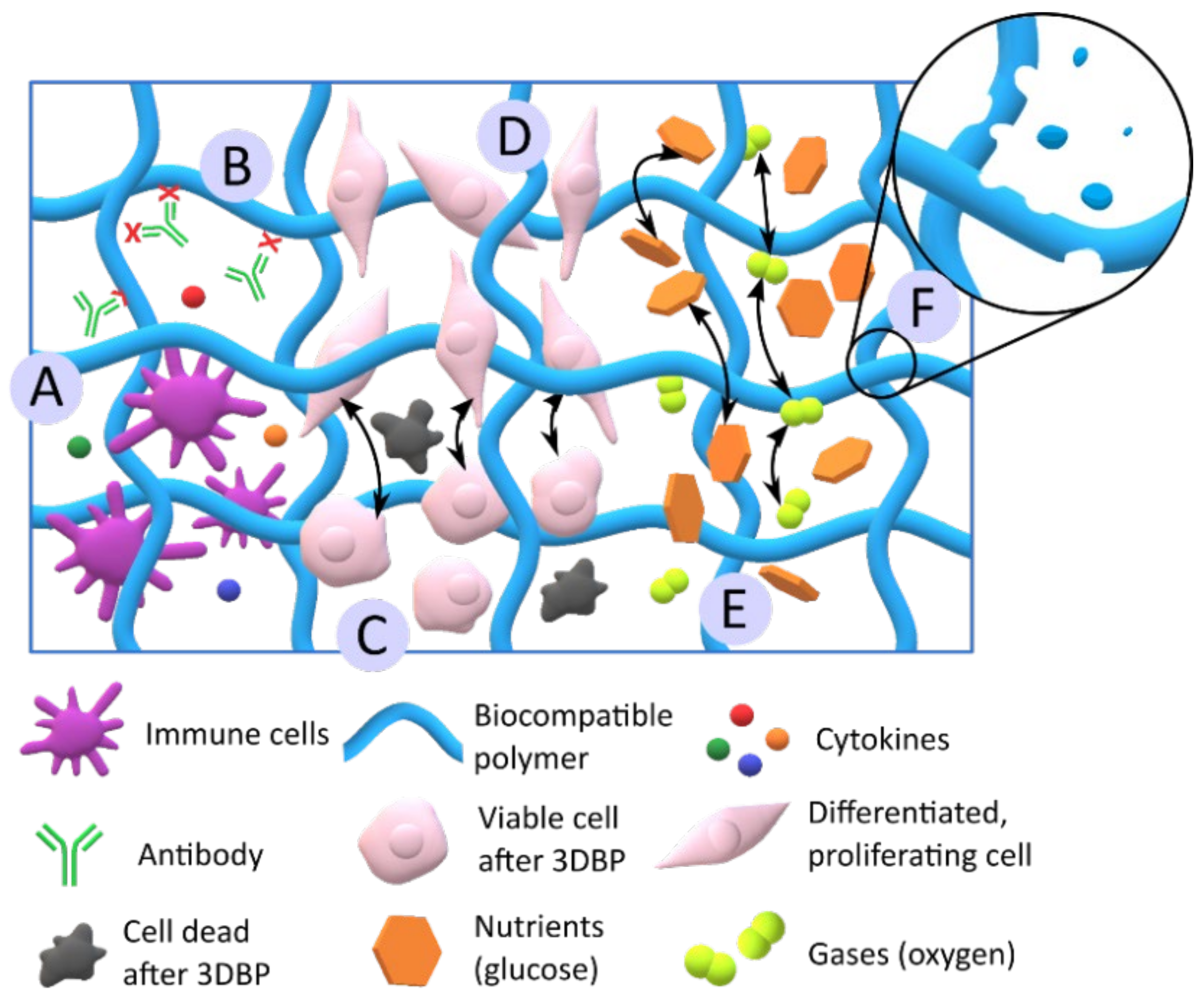 Pharmaceutics 13 01806 g009 Pharmaceutics 13 01806 g009