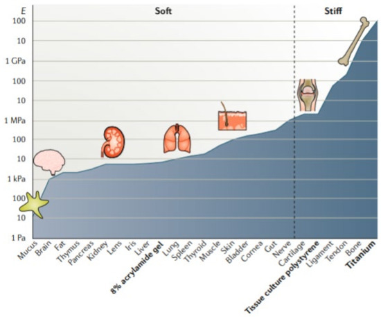 Pharmaceutics 13 01806 g010 550