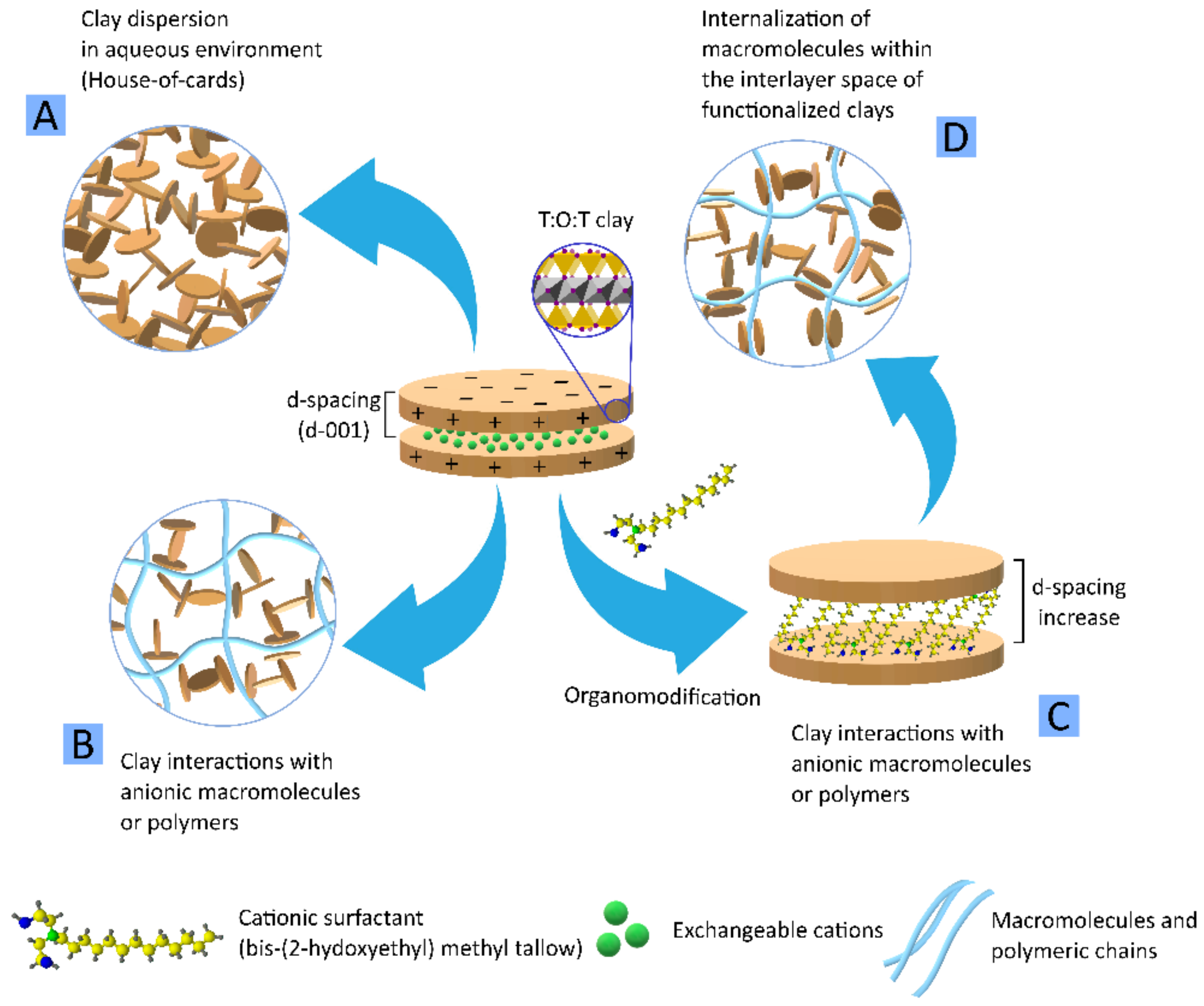 Pharmaceutics 13 01806 g012 Pharmaceutics 13 01806 g012