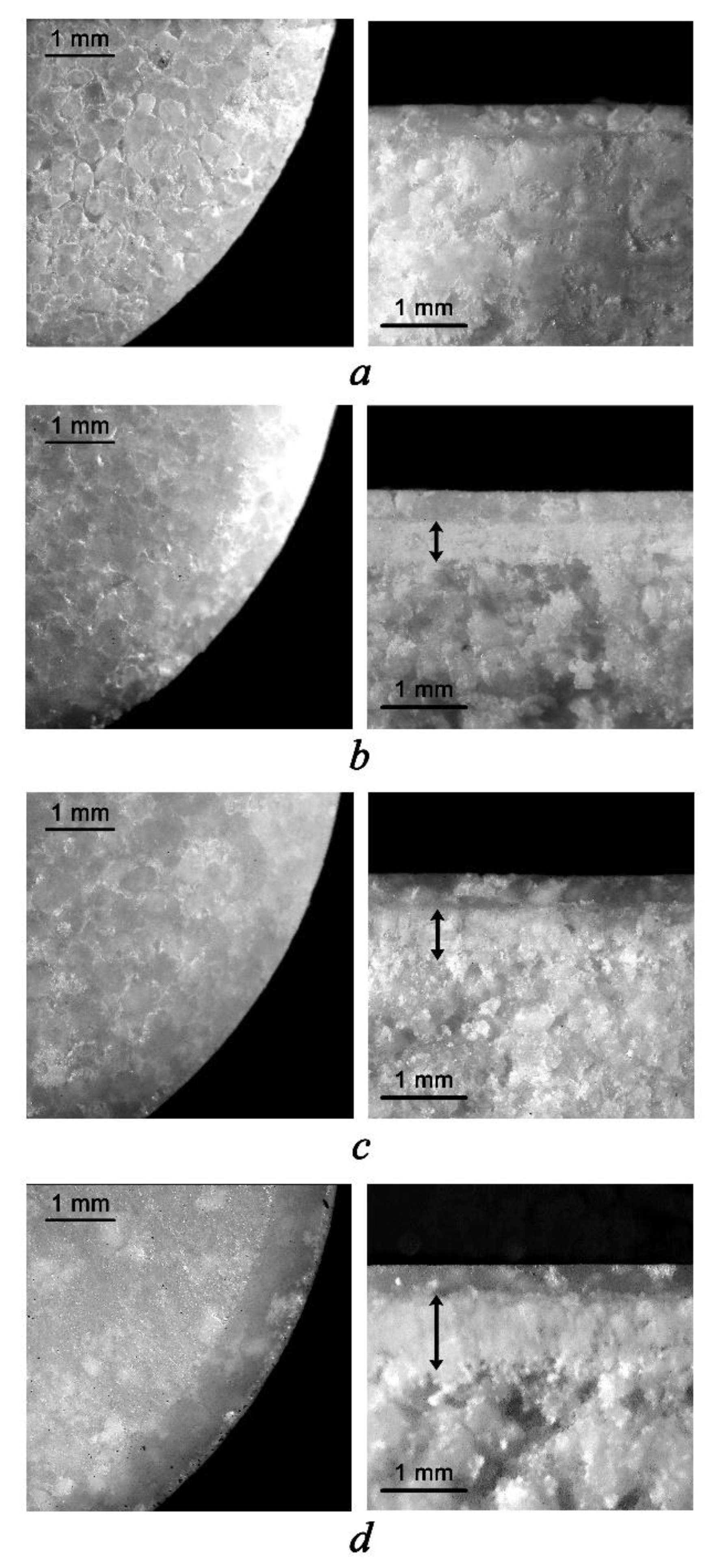 Pharmaceutics 13 01808 g001