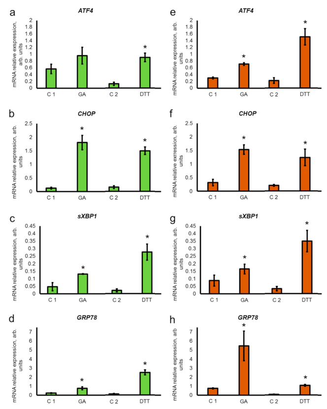 Pharmaceutics 13 01813 g001