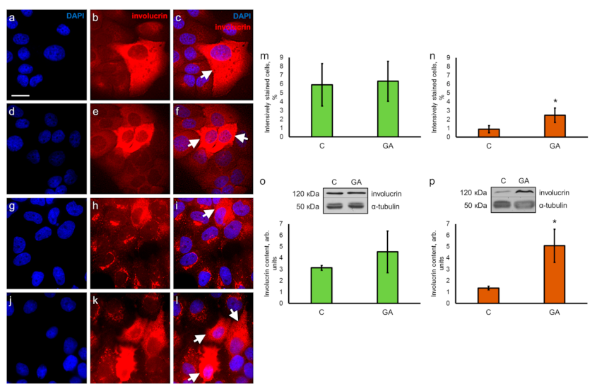 Pharmaceutics 13 01813 g004