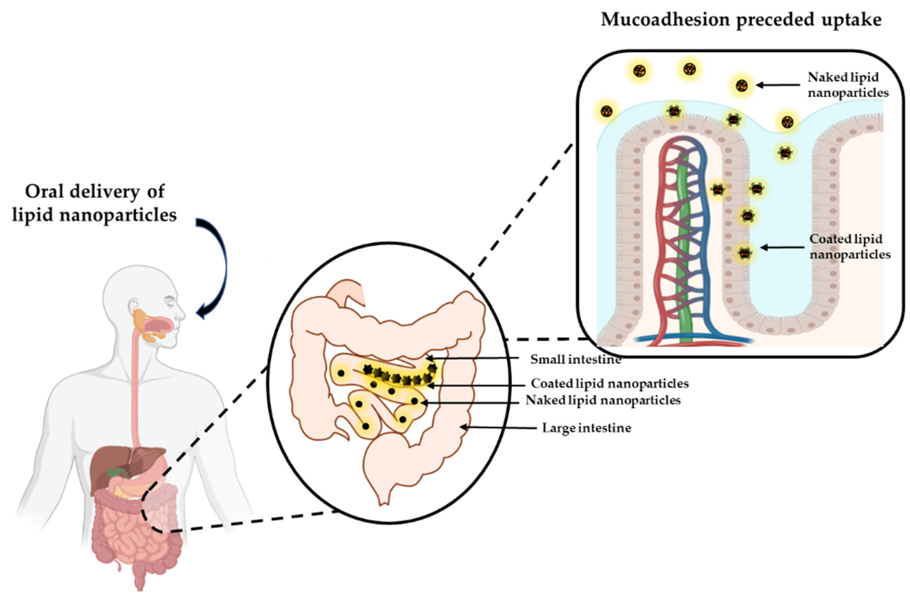Pharmaceutics 13 01817 g002