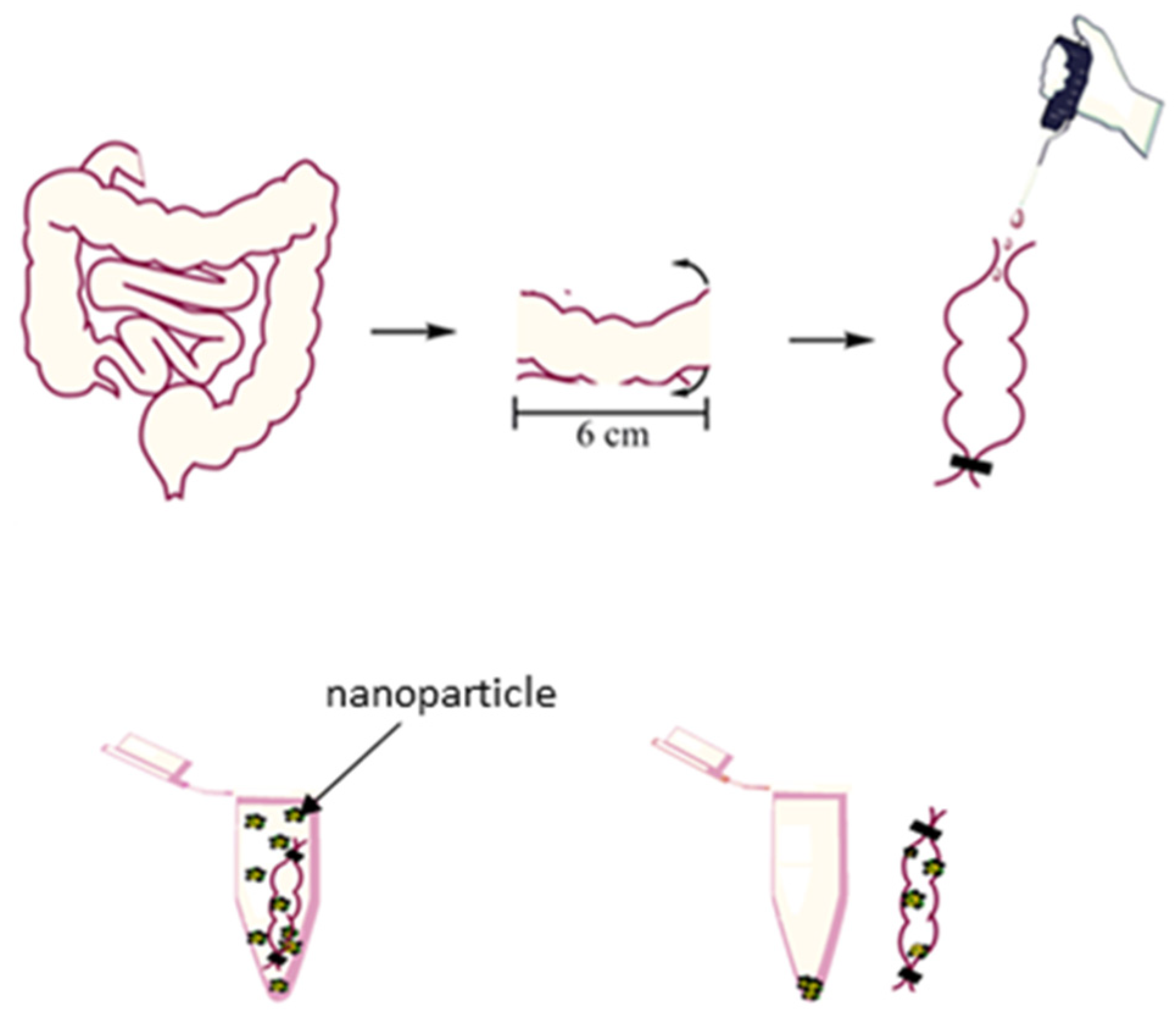 Pharmaceutics 13 01817 g003