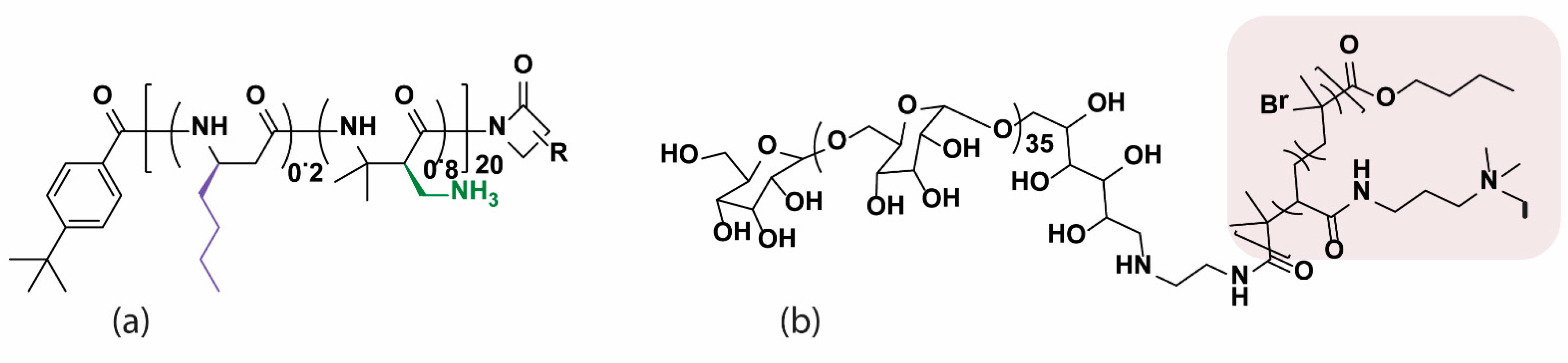 Pharmaceutics 13 01820 g007
