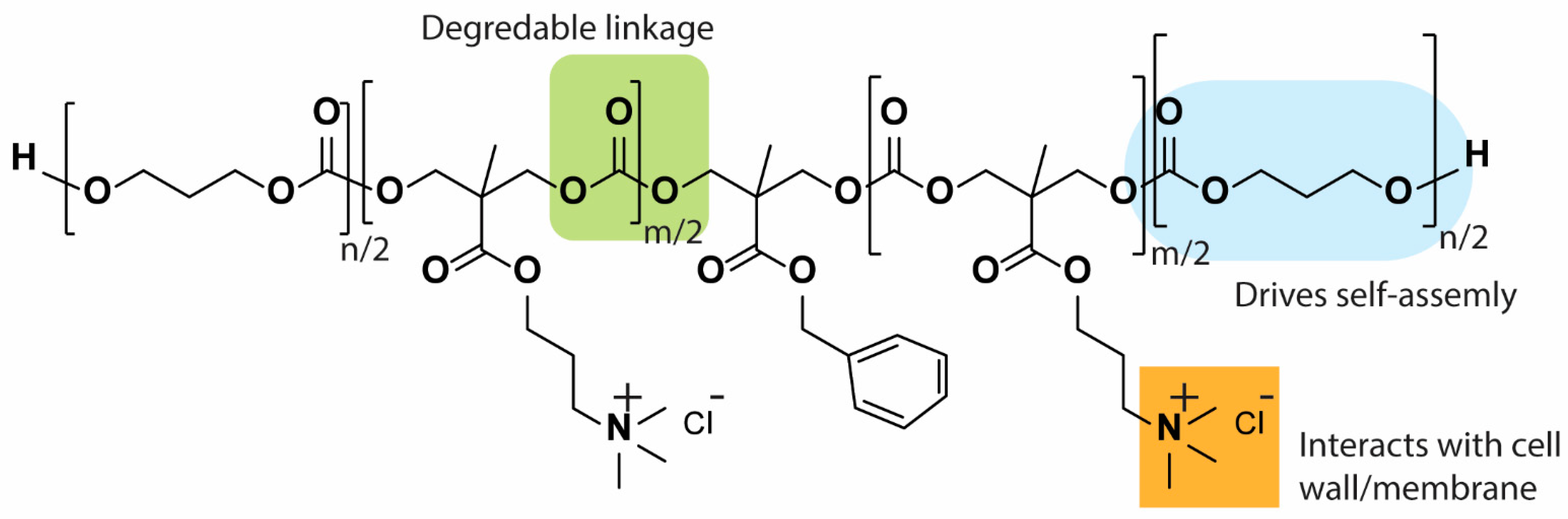 Pharmaceutics 13 01820 g008