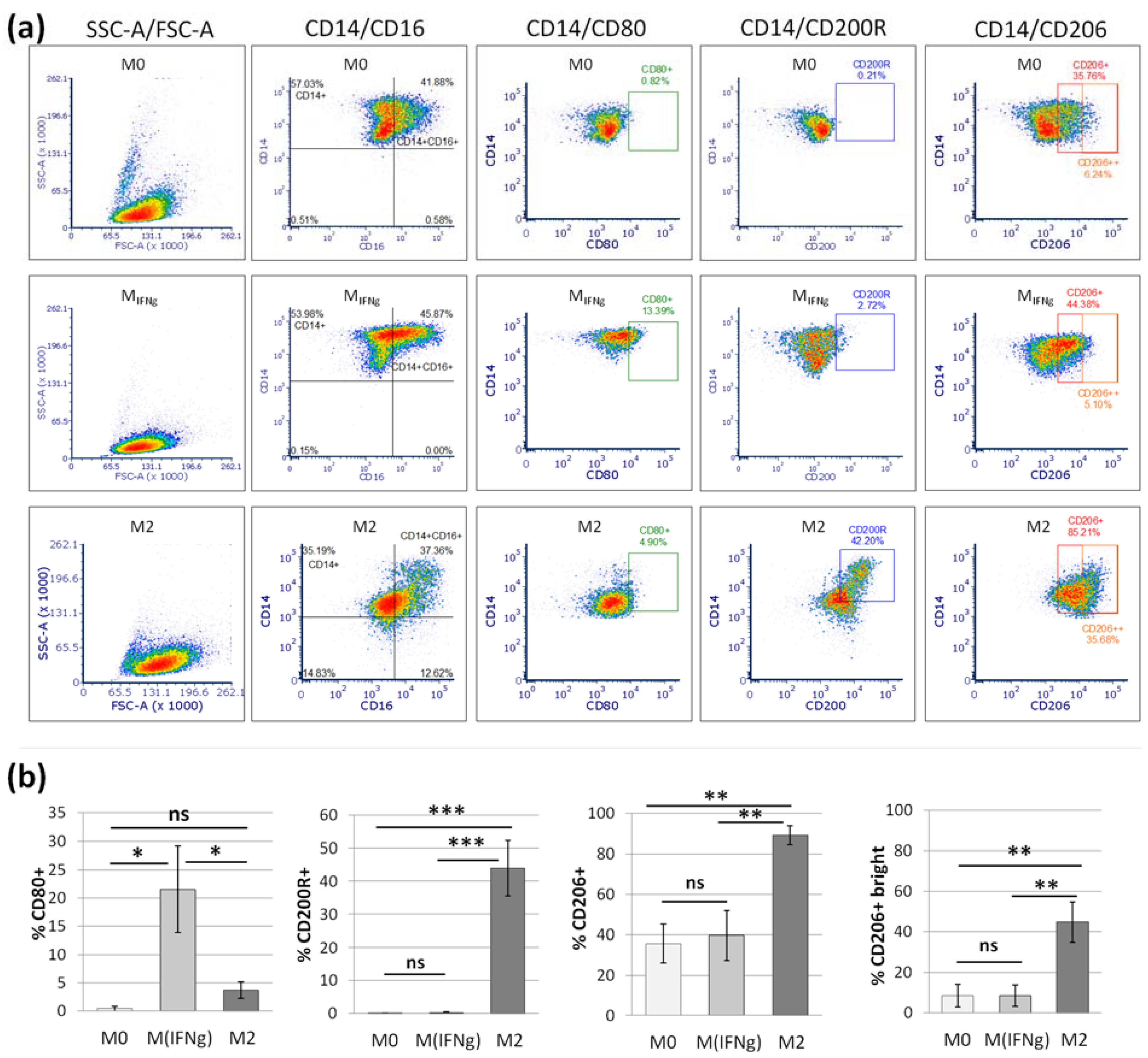 Pharmaceutics 13 01822 g004