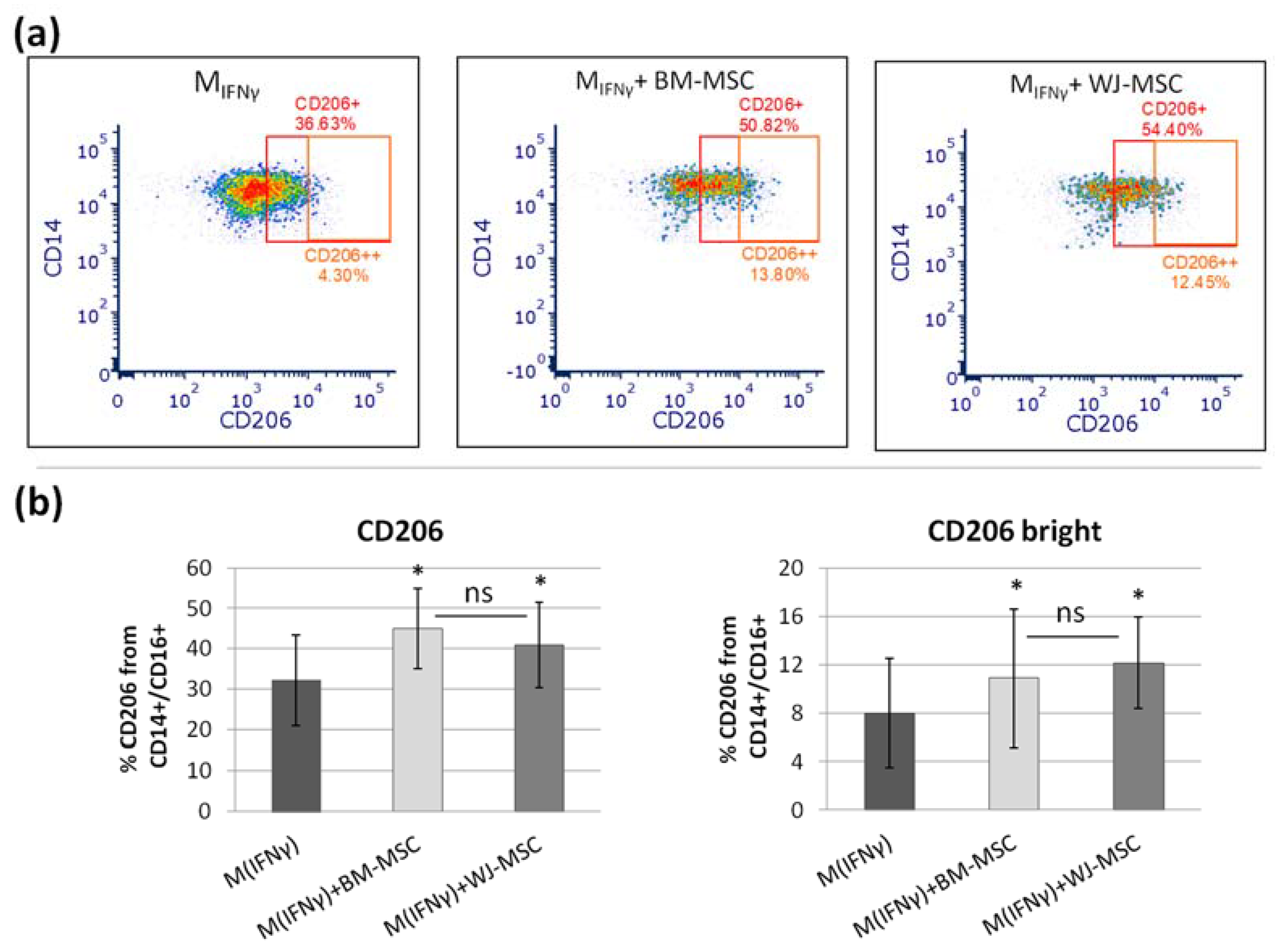 Pharmaceutics 13 01822 g005