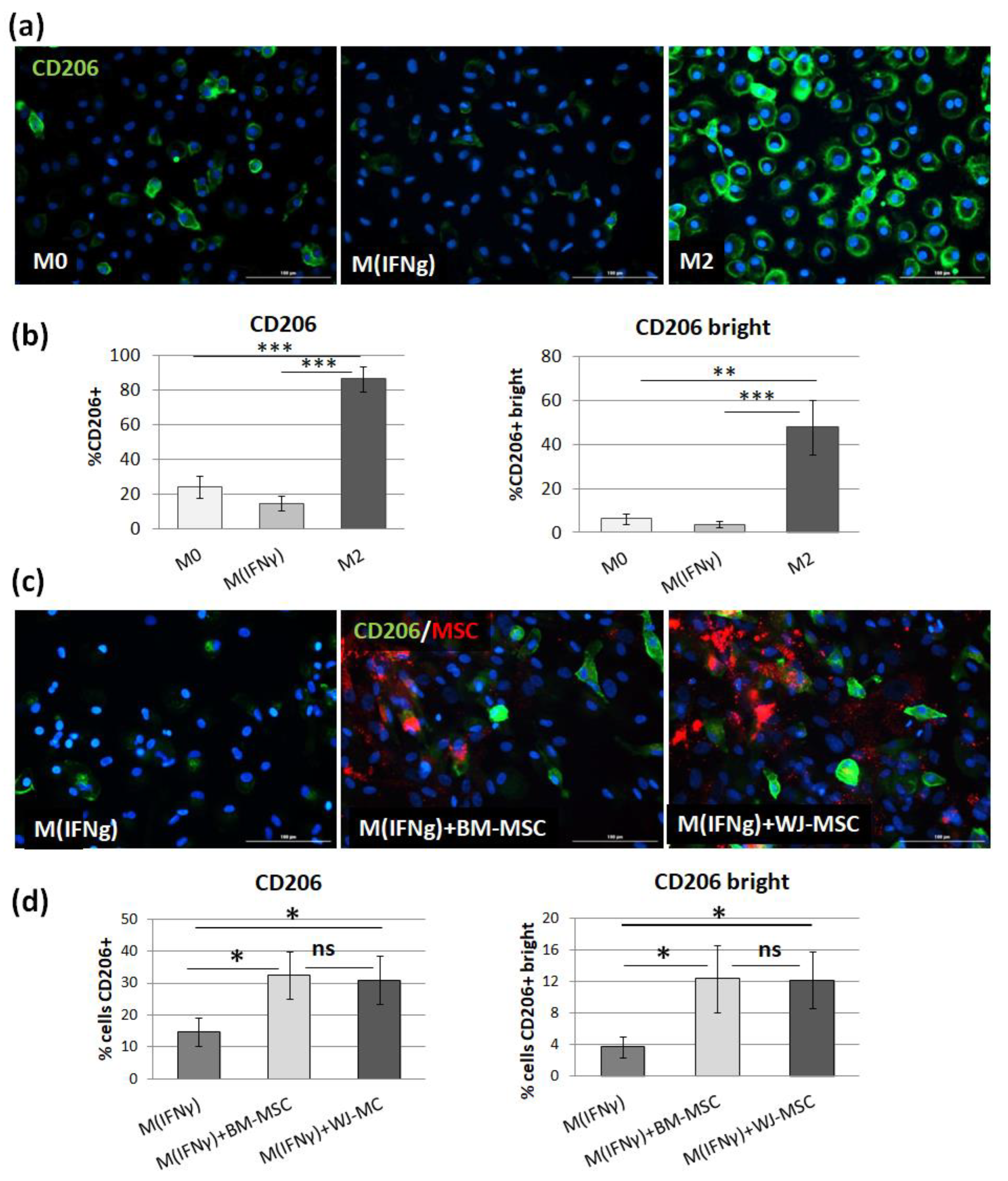 Pharmaceutics 13 01822 g006