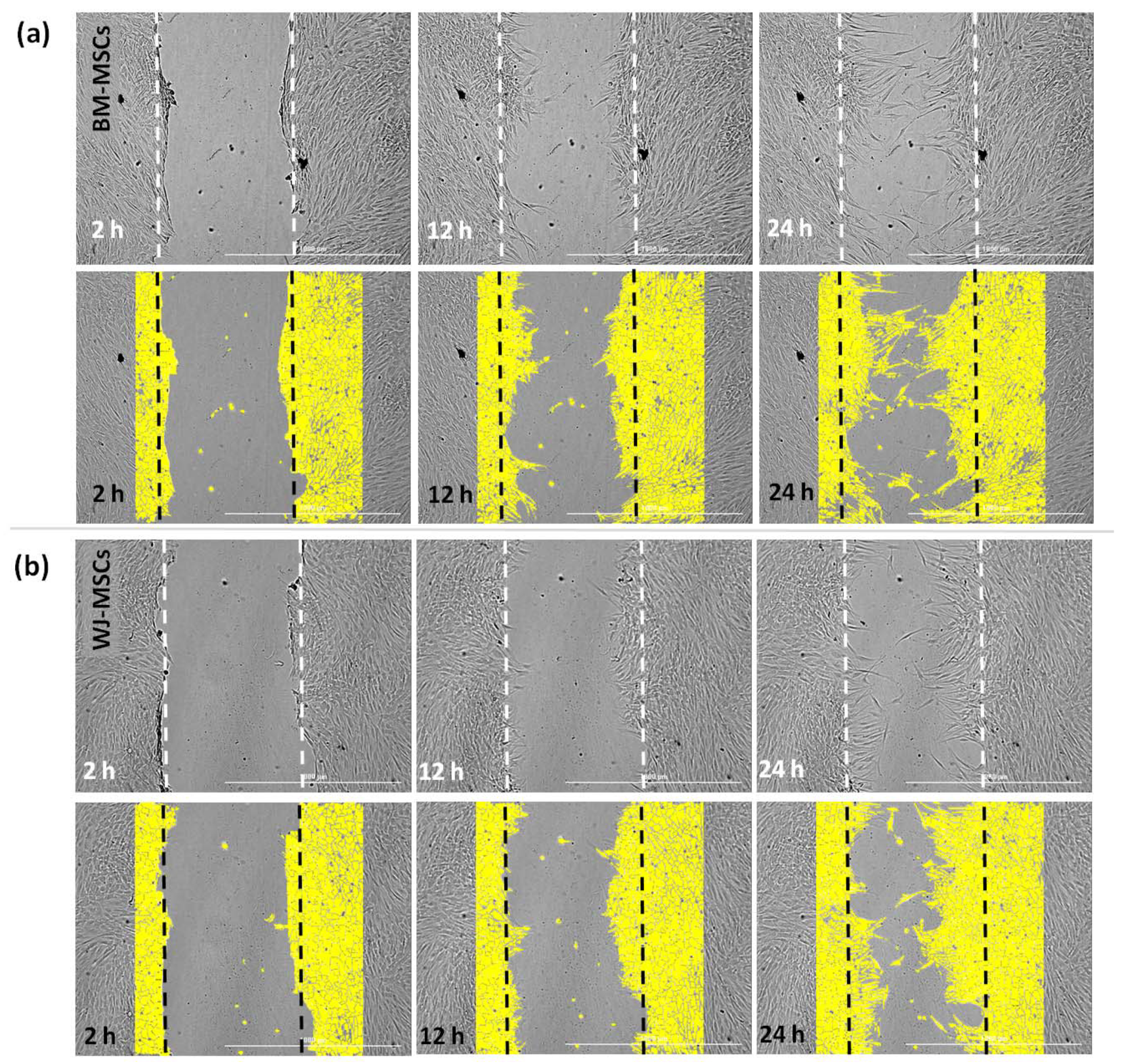 Pharmaceutics 13 01822 g009a