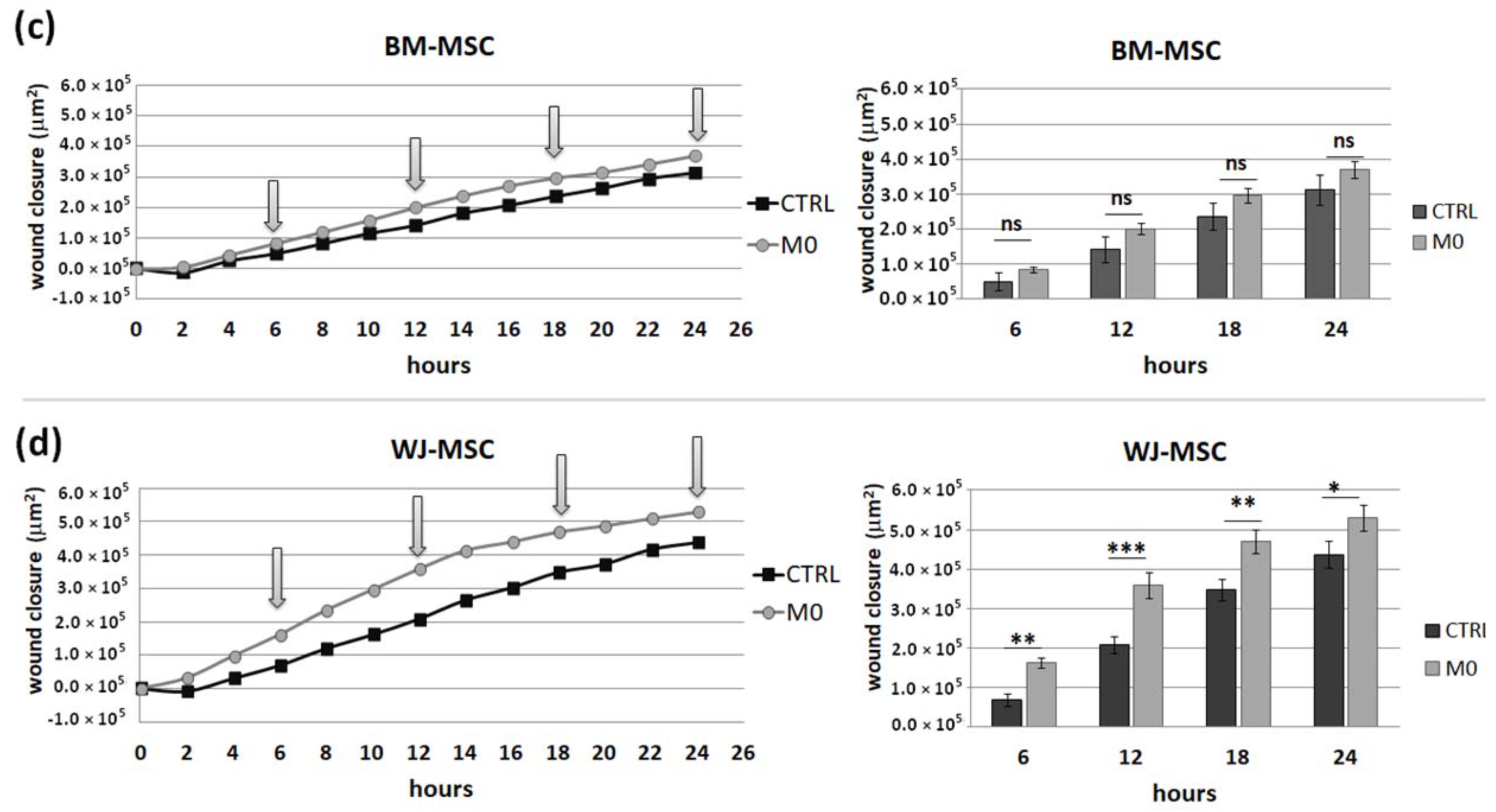 Pharmaceutics 13 01822 g009b