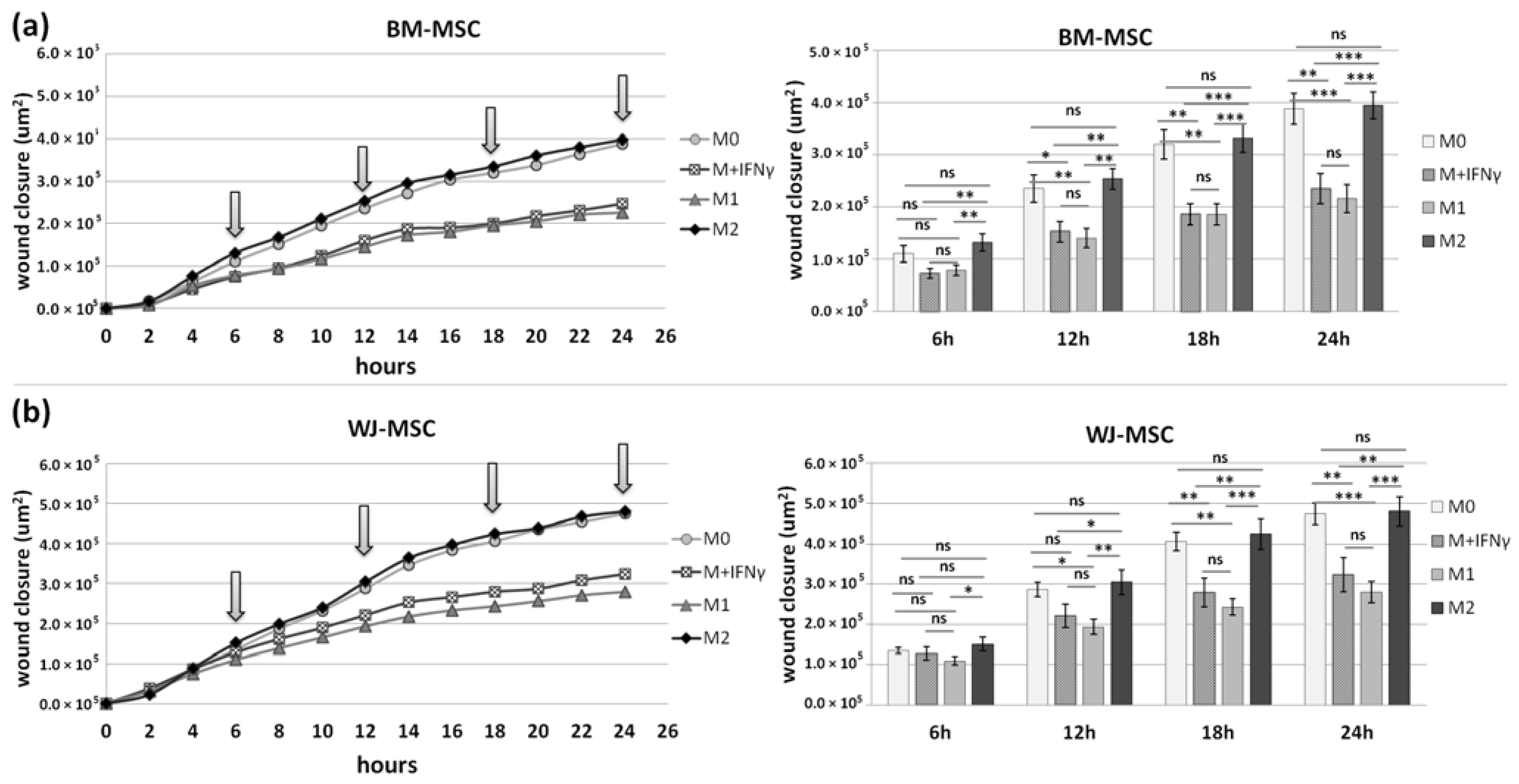 Pharmaceutics 13 01822 g010