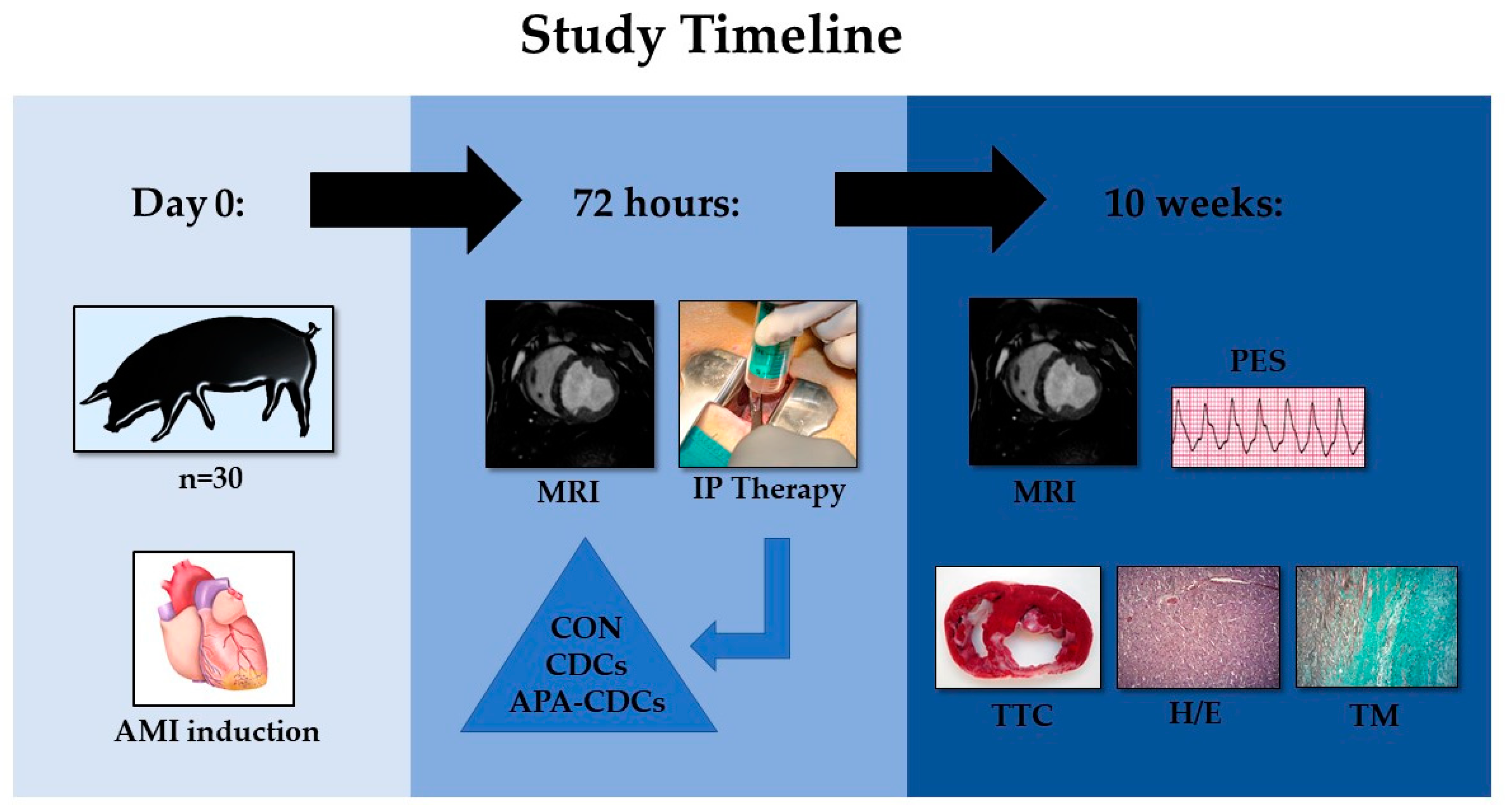 Pharmaceutics 13 01824 g001 Pharmaceutics 13 01824 g001